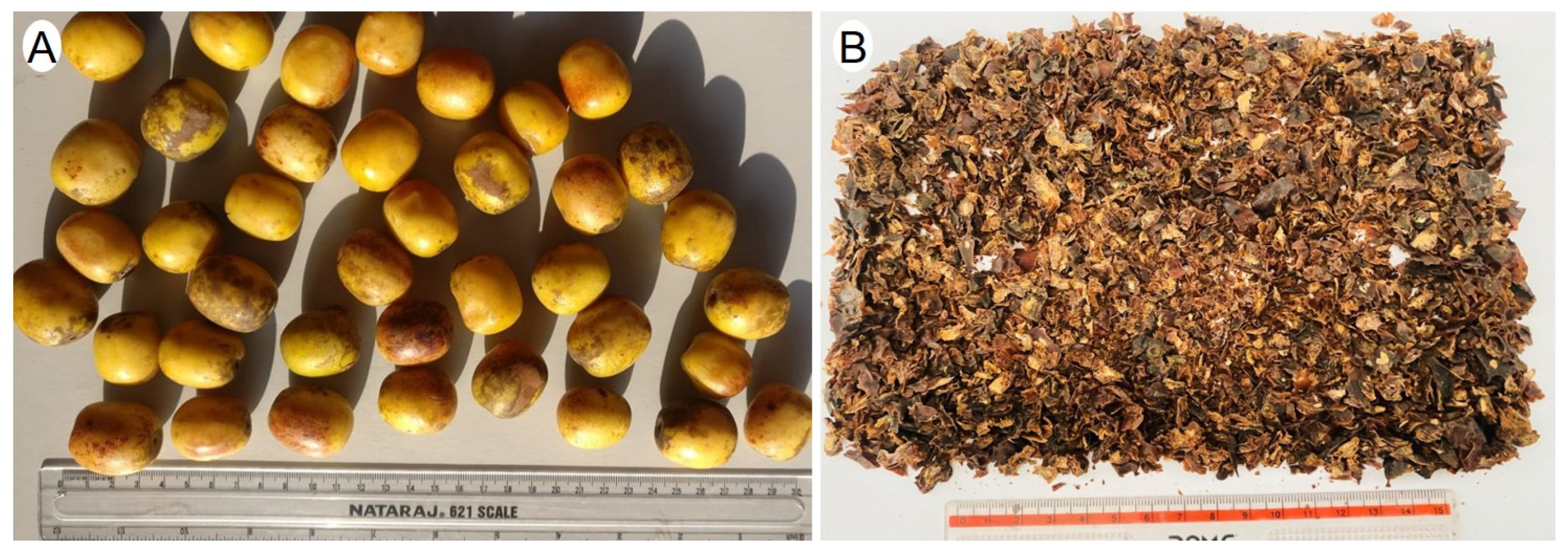 Applsci 13 08945 g001