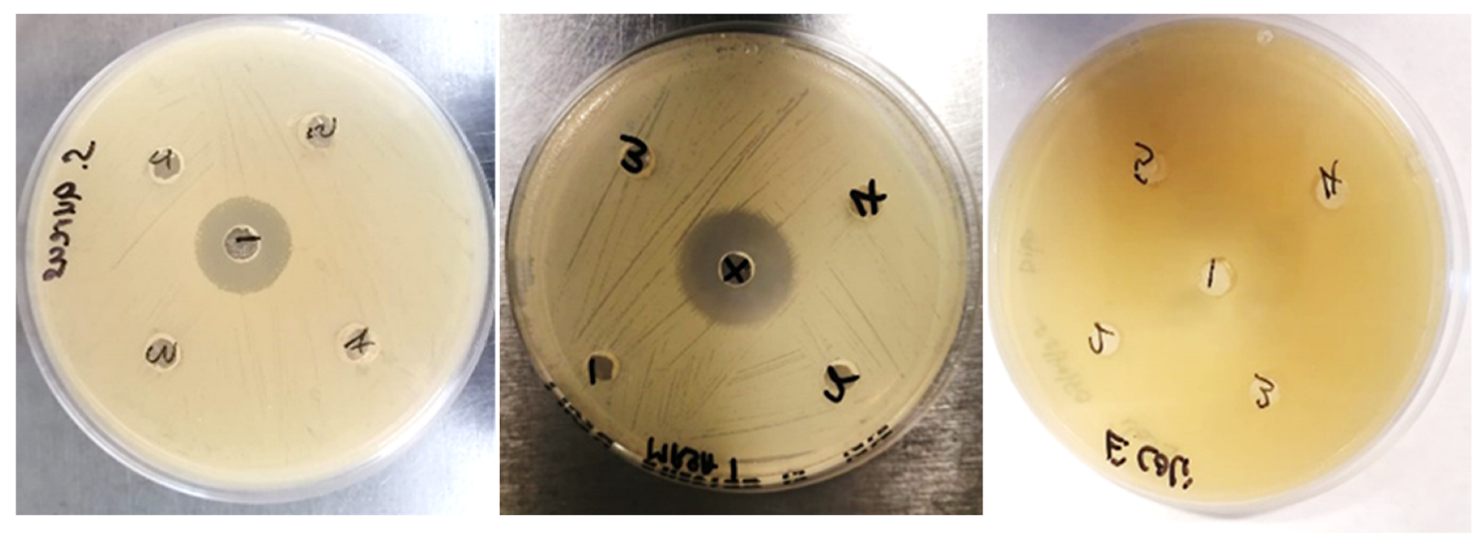 Applsci 13 08963 g005 Applsci 13 08963 g005