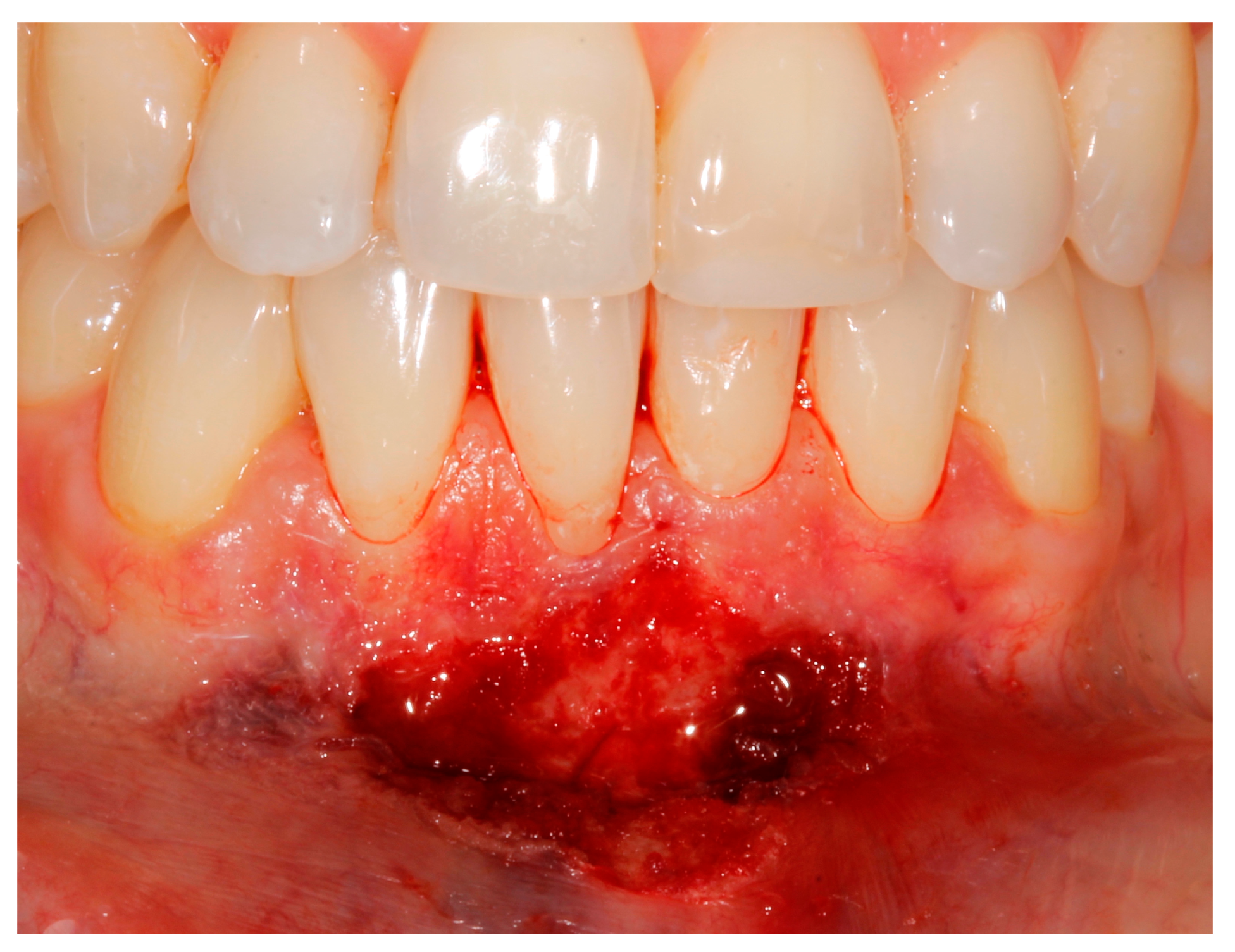 Applsci 13 08979 g004