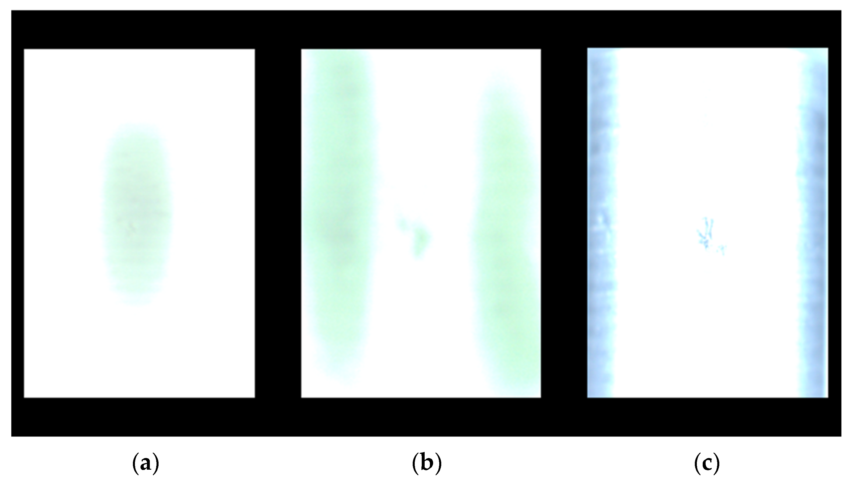 Applsci 13 08999 g018 Applsci 13 08999 g018