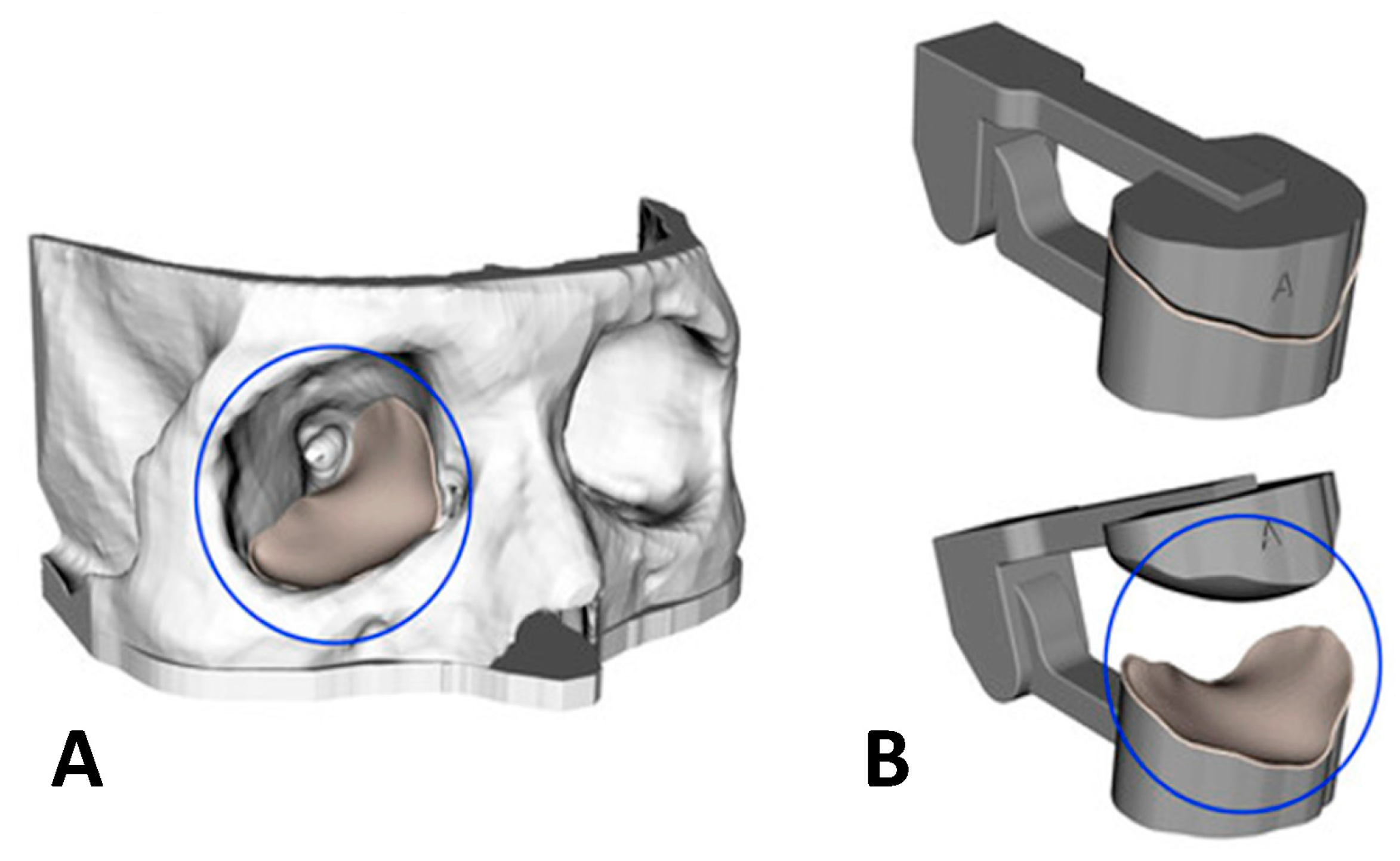 Applsci 13 09012 g001
