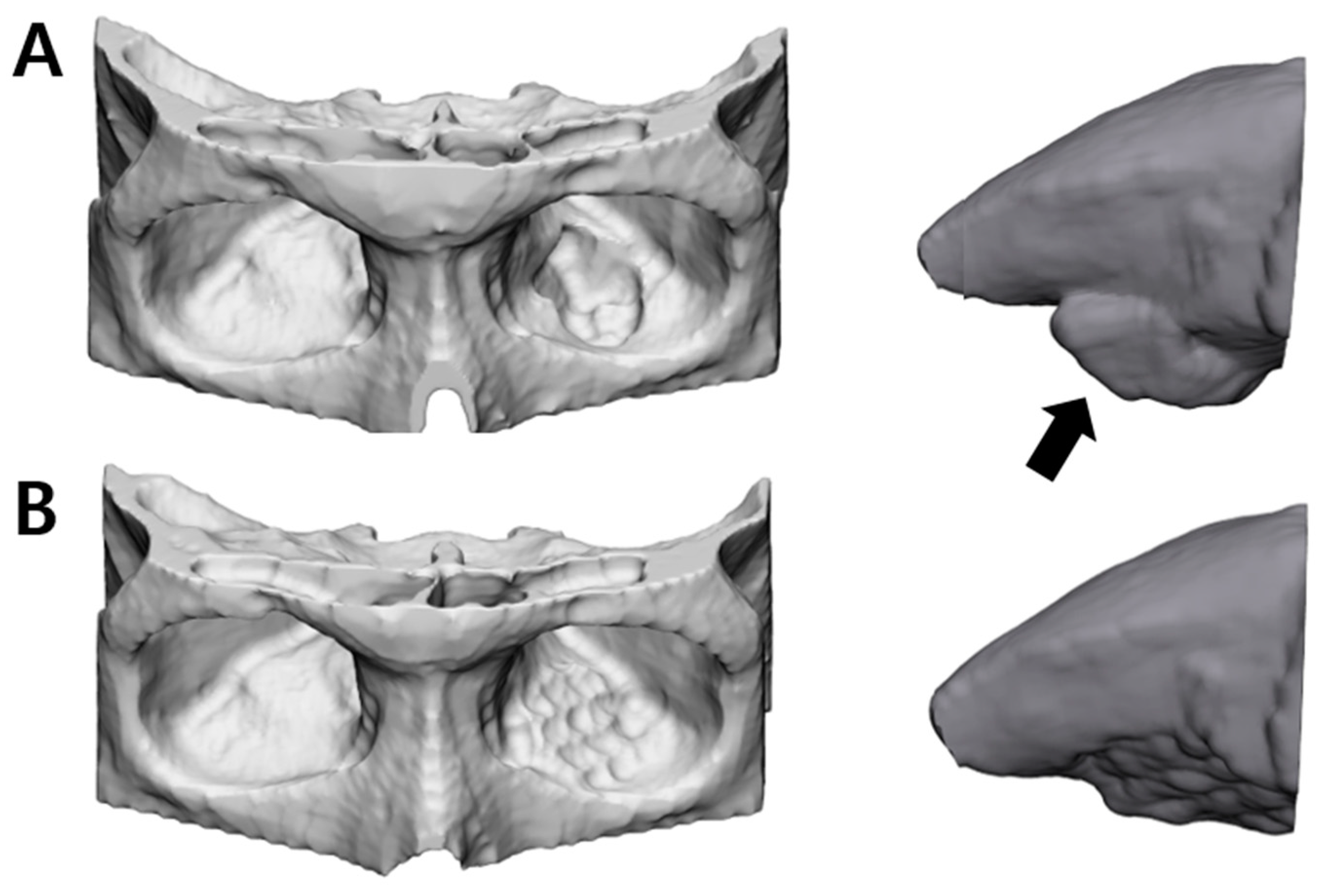 Applsci 13 09012 g003