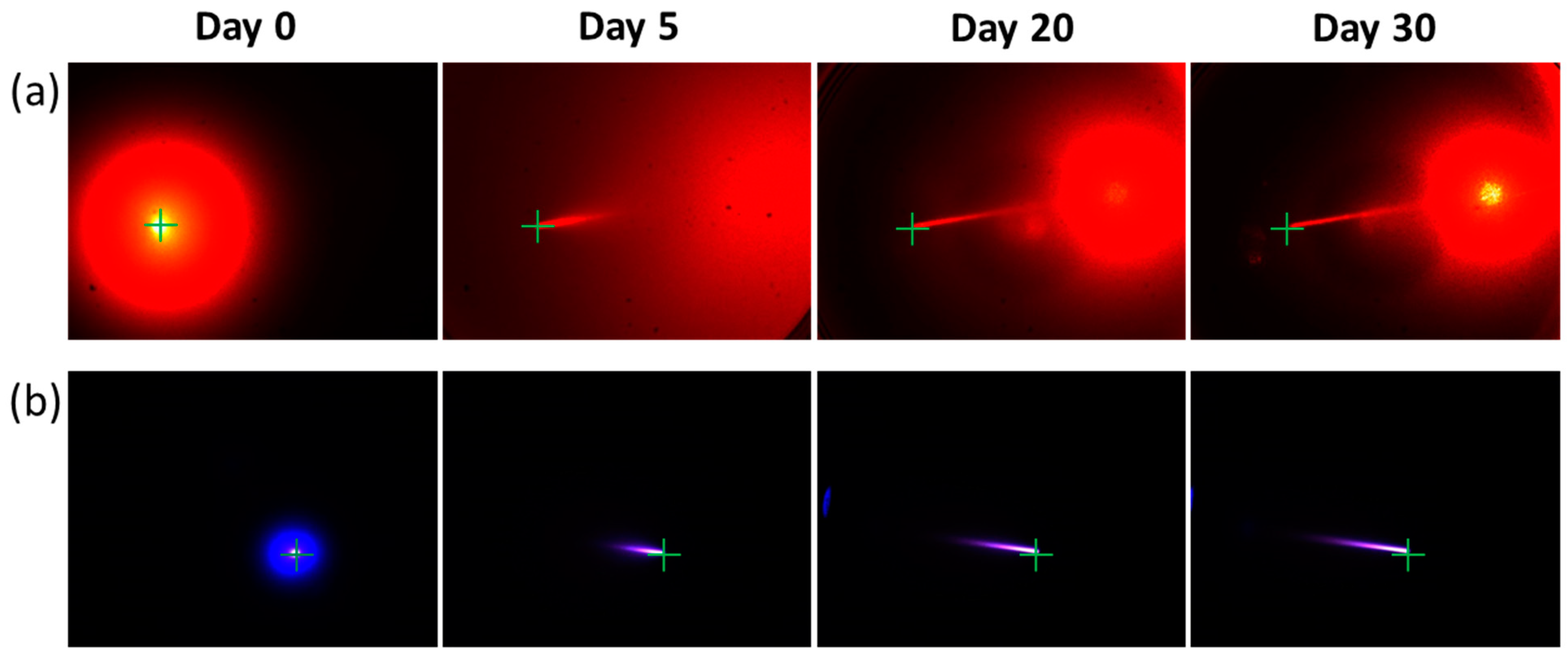 Applsci 13 09013 g003 Applsci 13 09013 g003