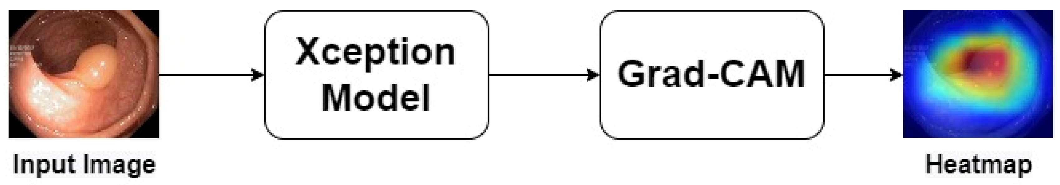 Applsci 13 09031 g004 Applsci 13 09031 g004