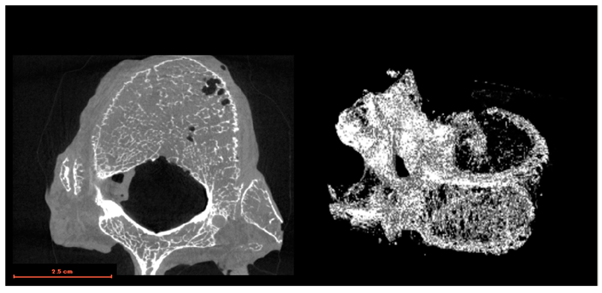 Applsci 13 09037 g001 Applsci 13 09037 g001