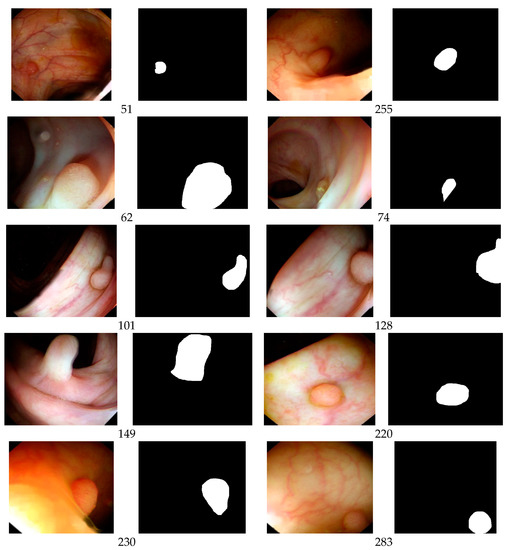 Applsci 13 09066 g0a2