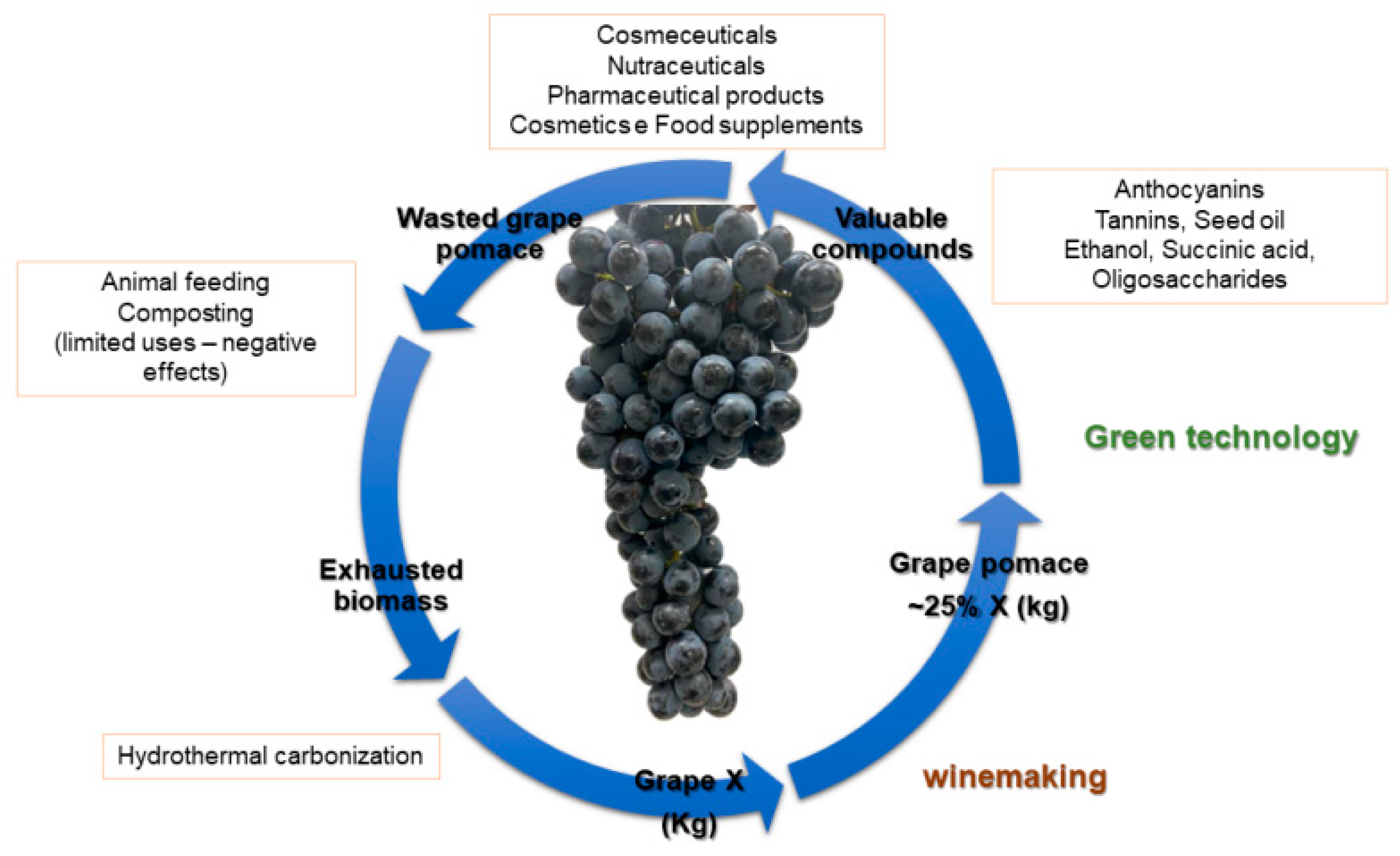 Applsci 13 09068 g001