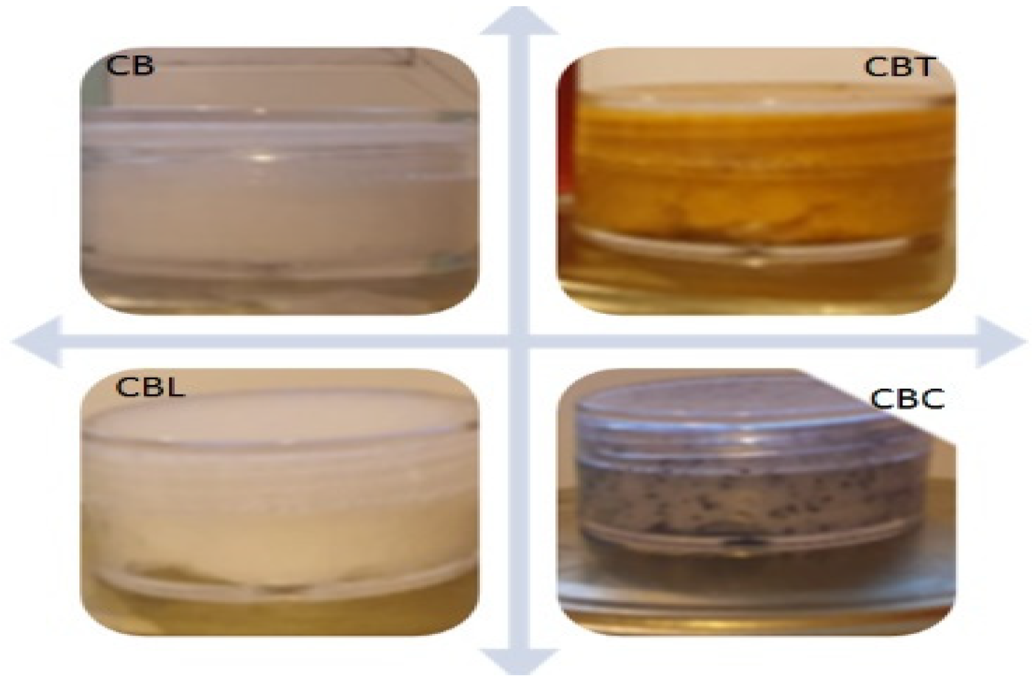 Applsci 13 09111 g001