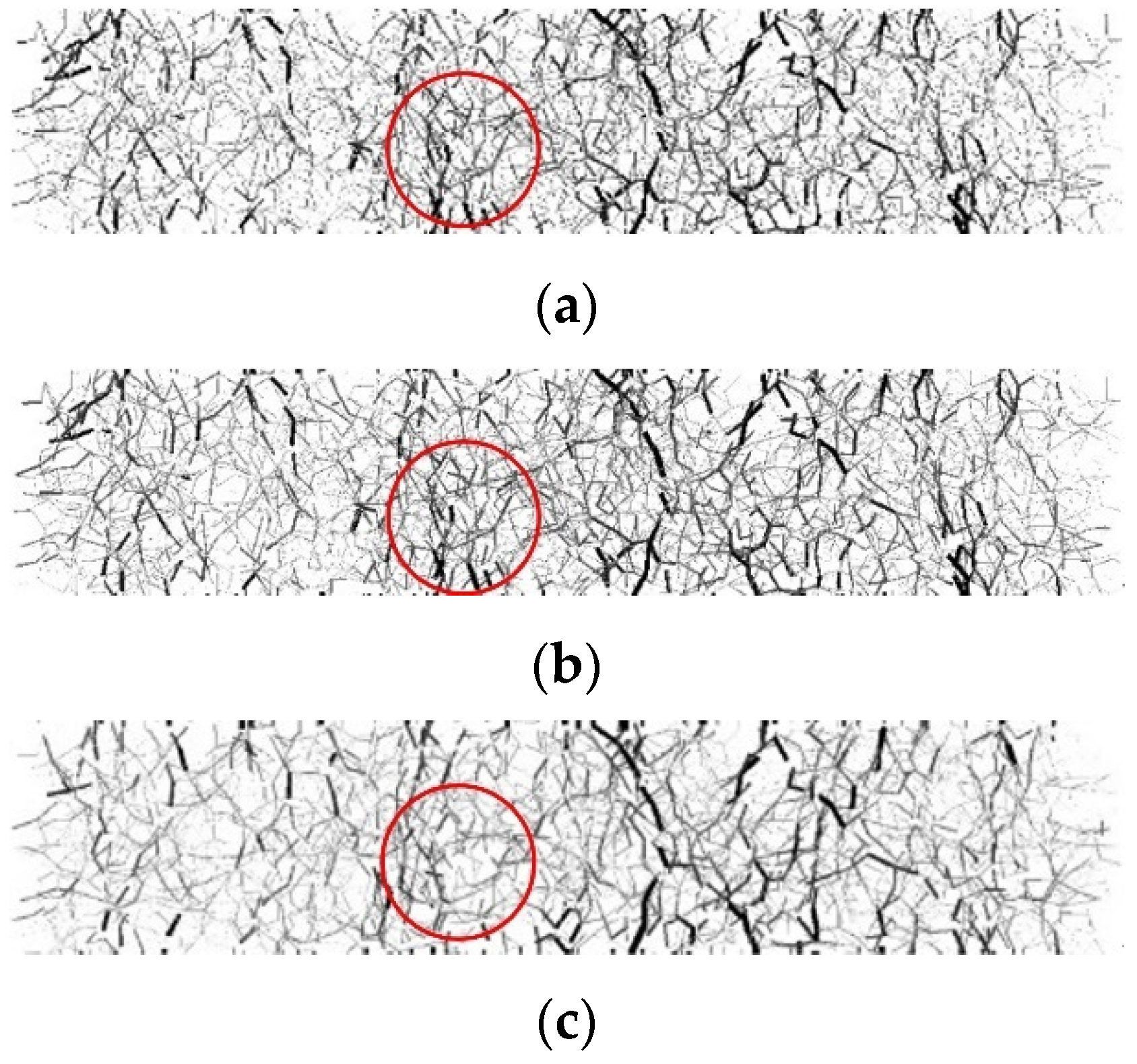 Applsci 13 09169 g013