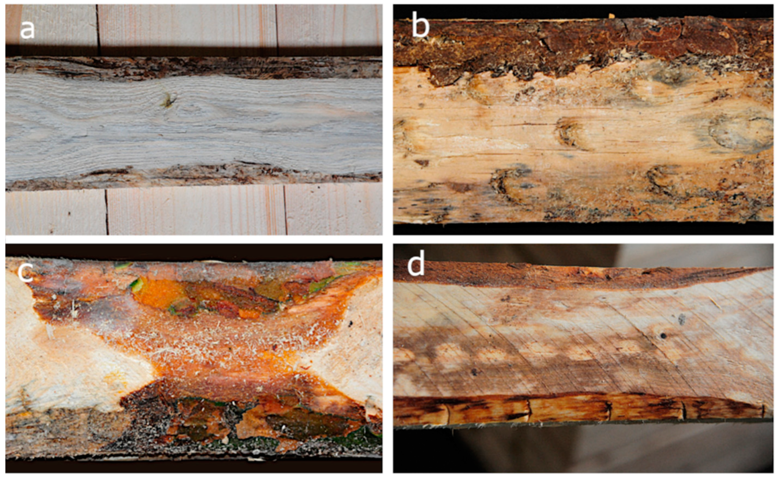 Applsci 13 09187 g001 Applsci 13 09187 g001