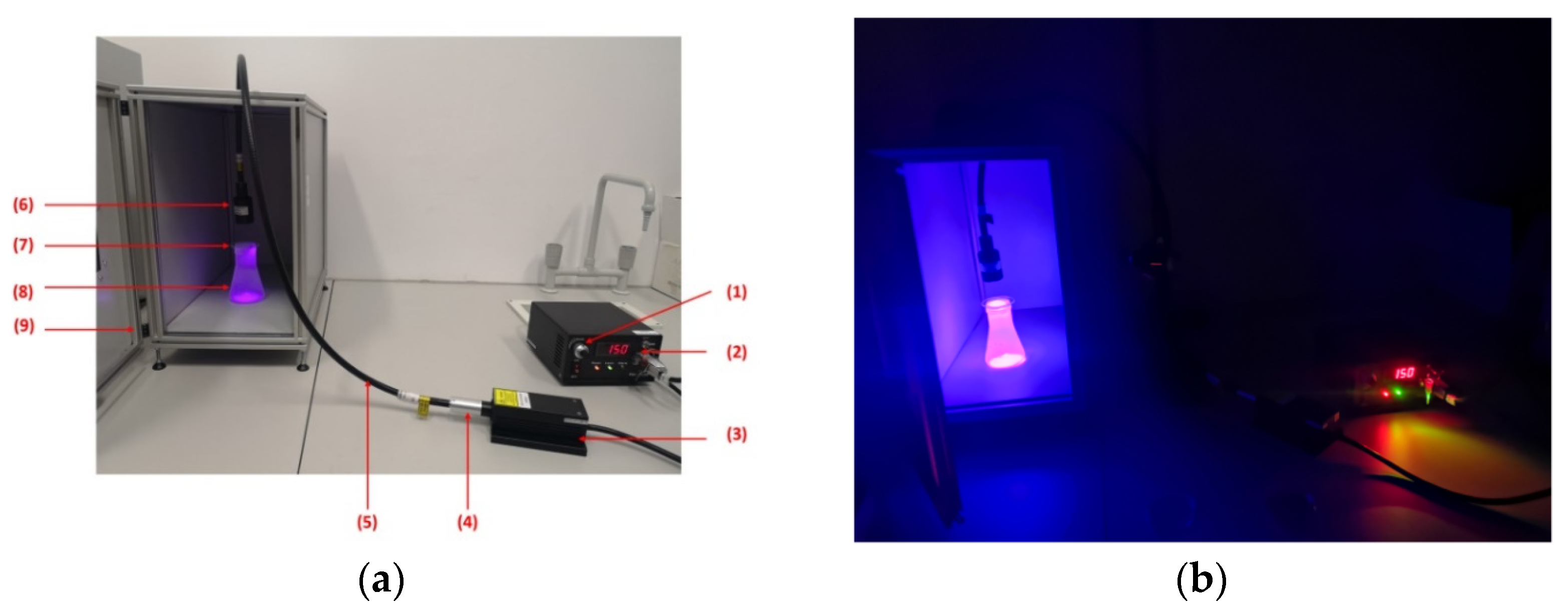 Applsci 13 09191 g001