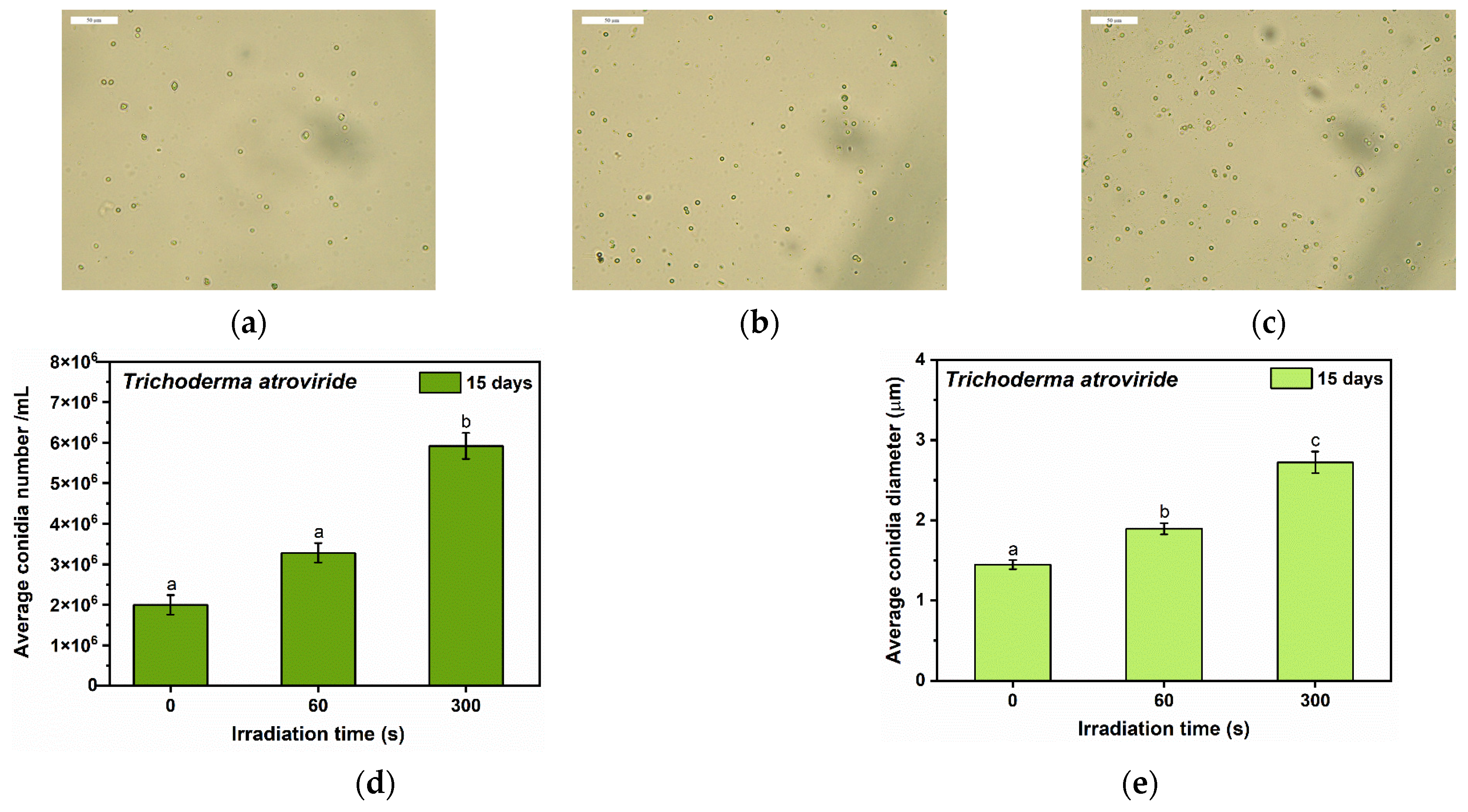 Applsci 13 09191 g007