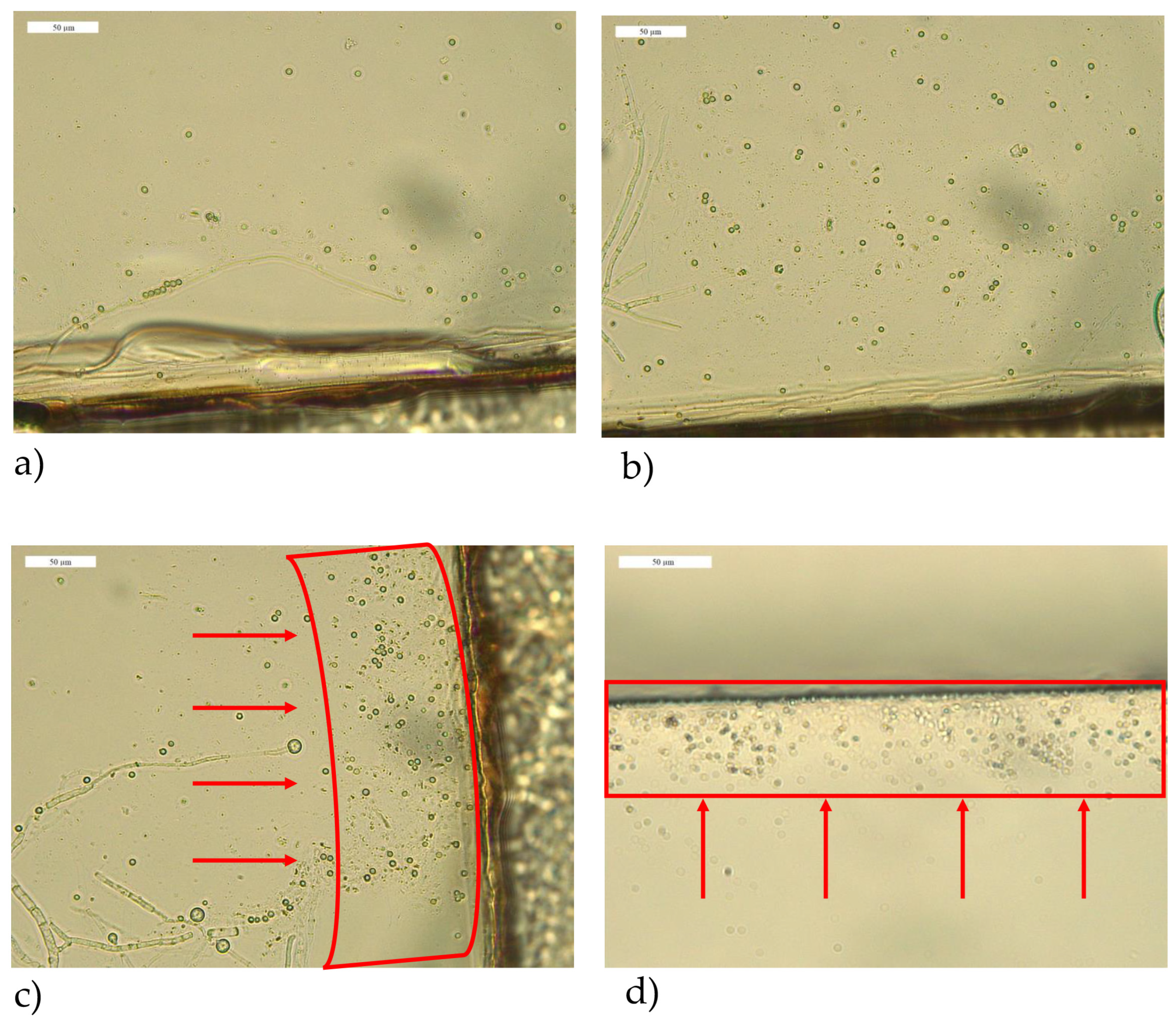 Applsci 13 09191 g008