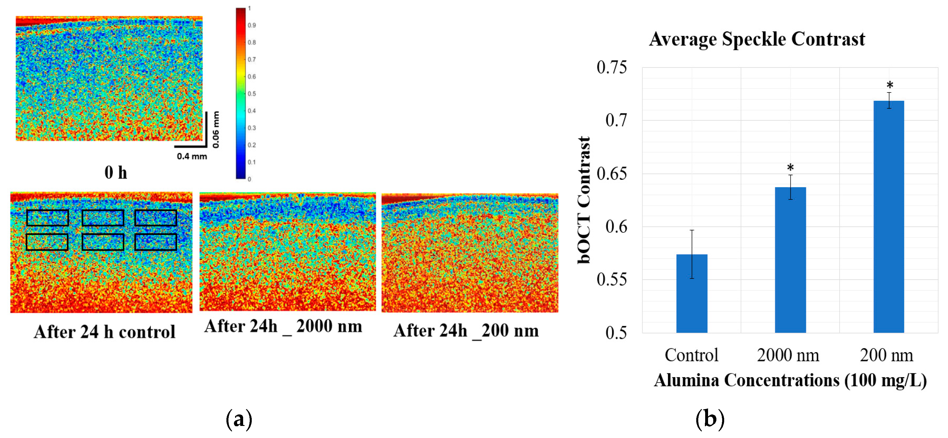 Applsci 13 09203 g003
