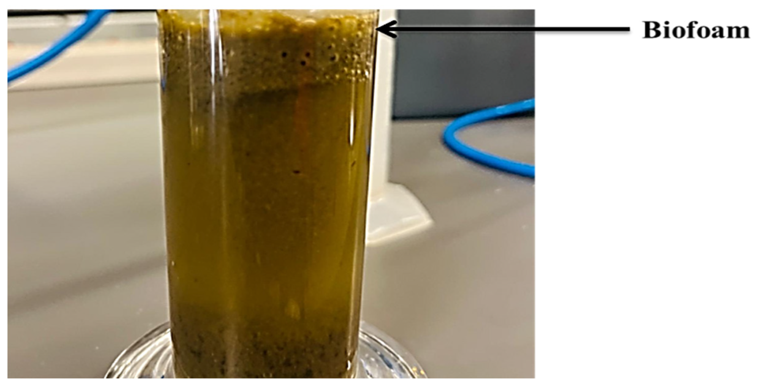 Applsci 13 09225 g002