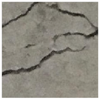 Applsci 13 09238 i001