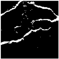 Applsci 13 09238 i007