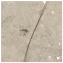 Applsci 13 09238 i021