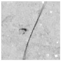 Applsci 13 09238 i023