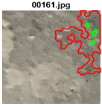 Applsci 13 09238 i053