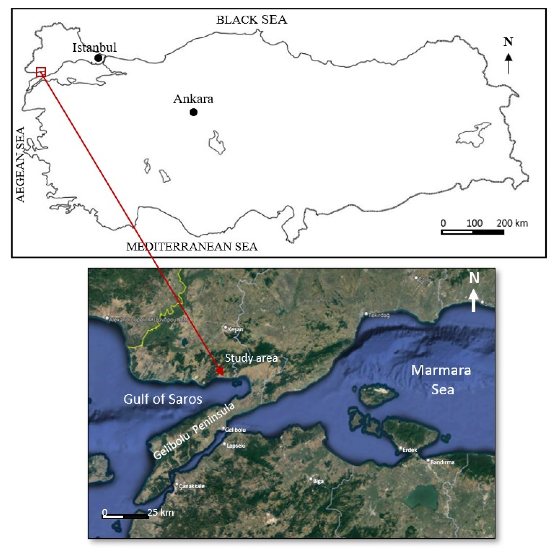 Applsci 13 09245 g001