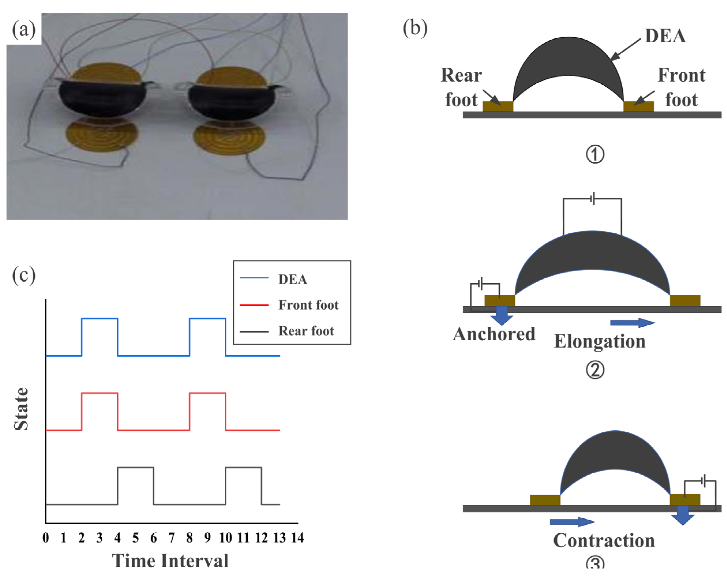 Applsci 13 09255 g006