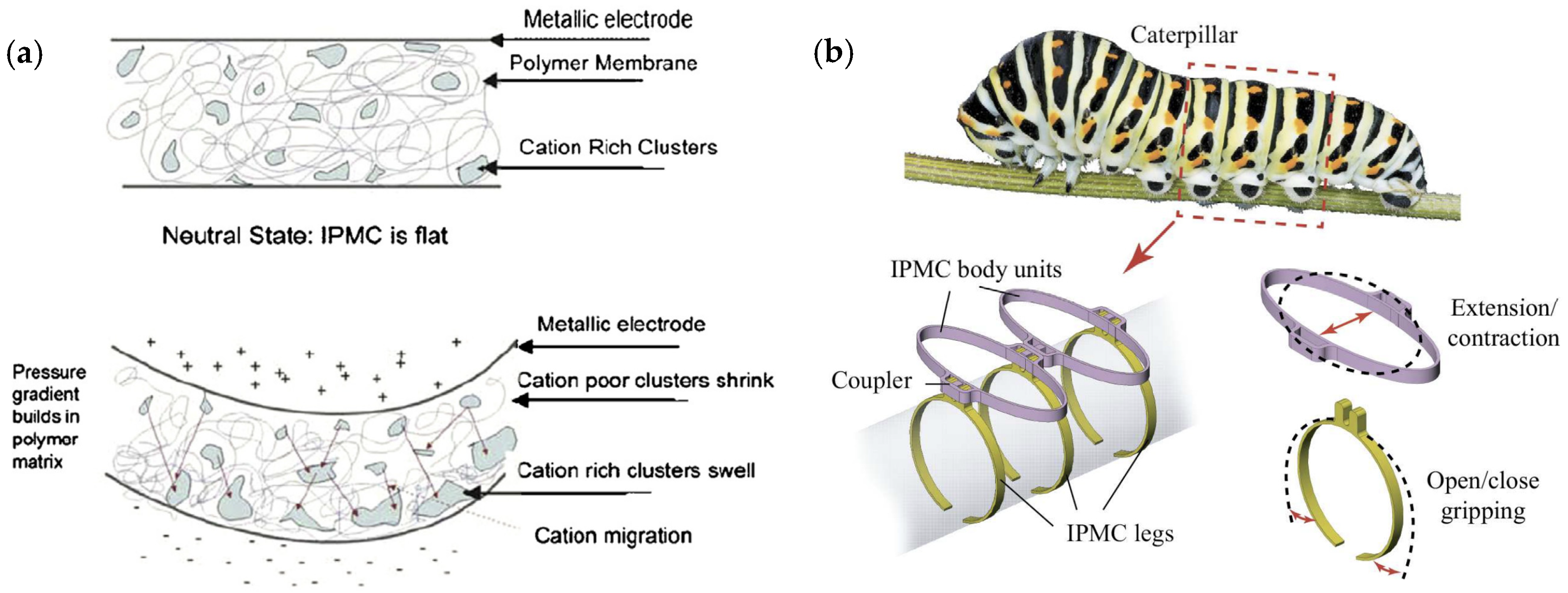 Applsci 13 09255 g008