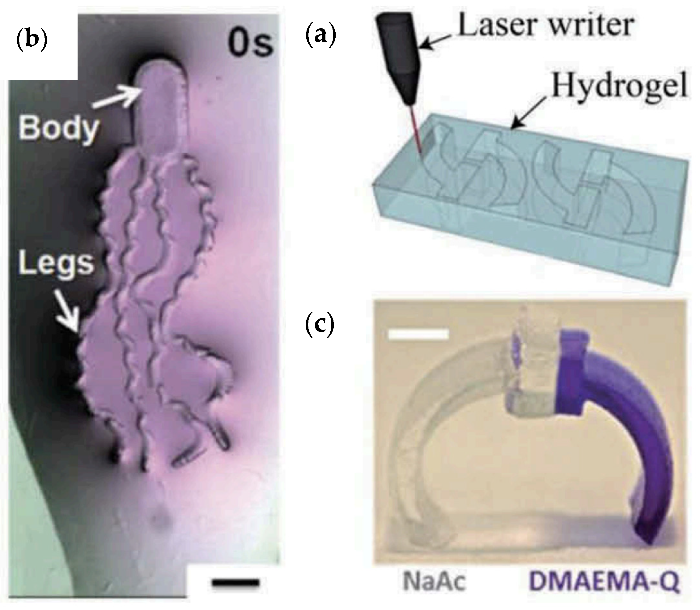 Applsci 13 09255 g009