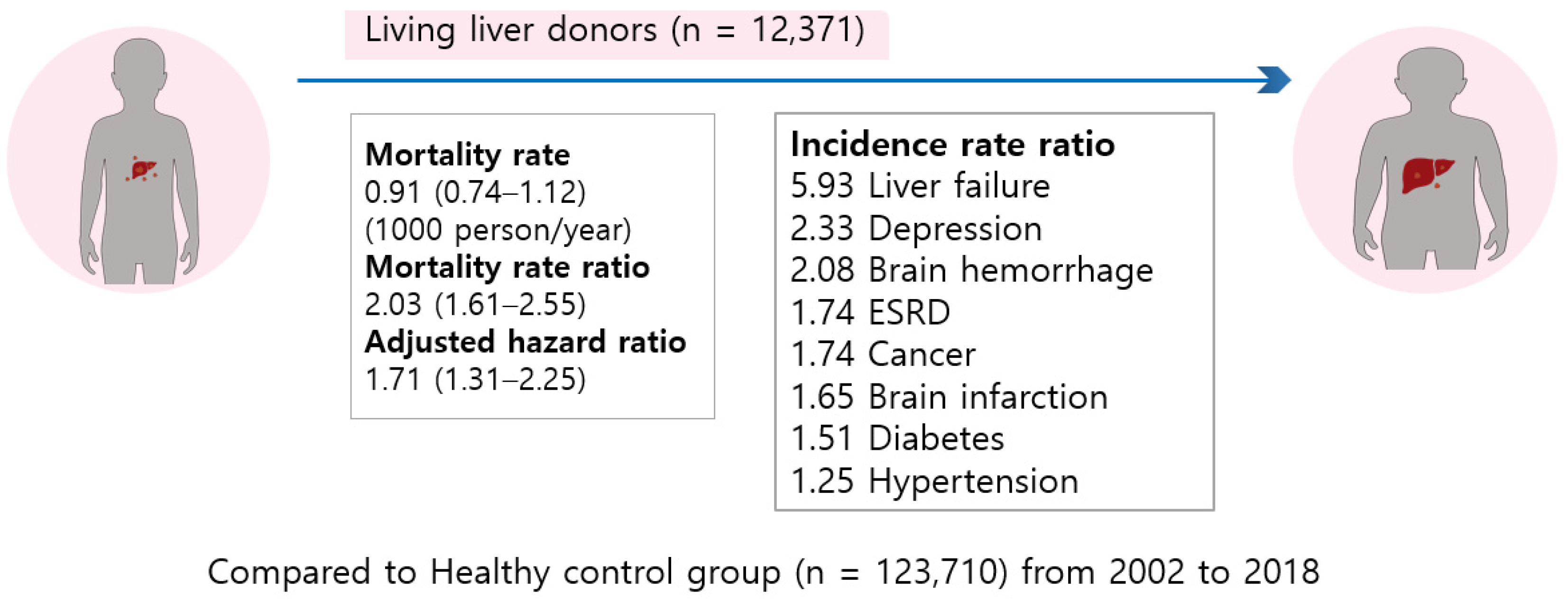 Applsci 13 09260 g004