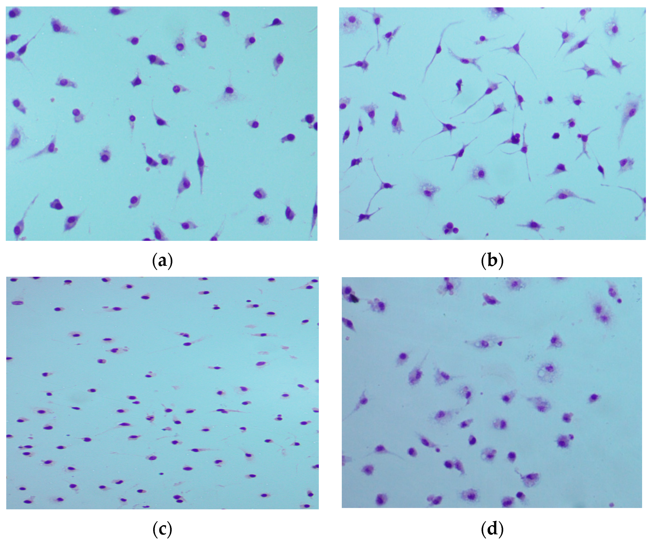 Applsci 13 09269 g003