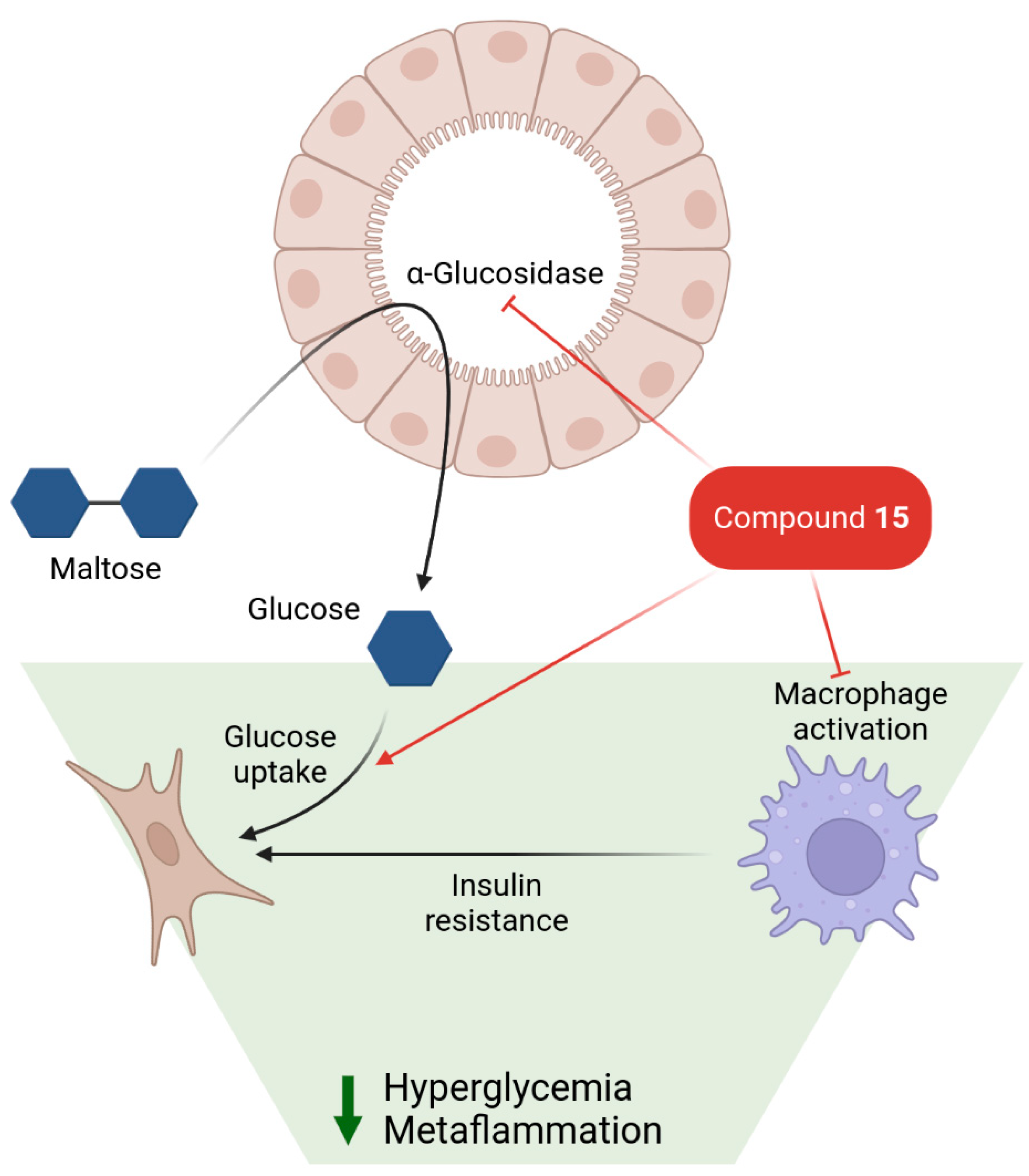 Applsci 13 09269 g007