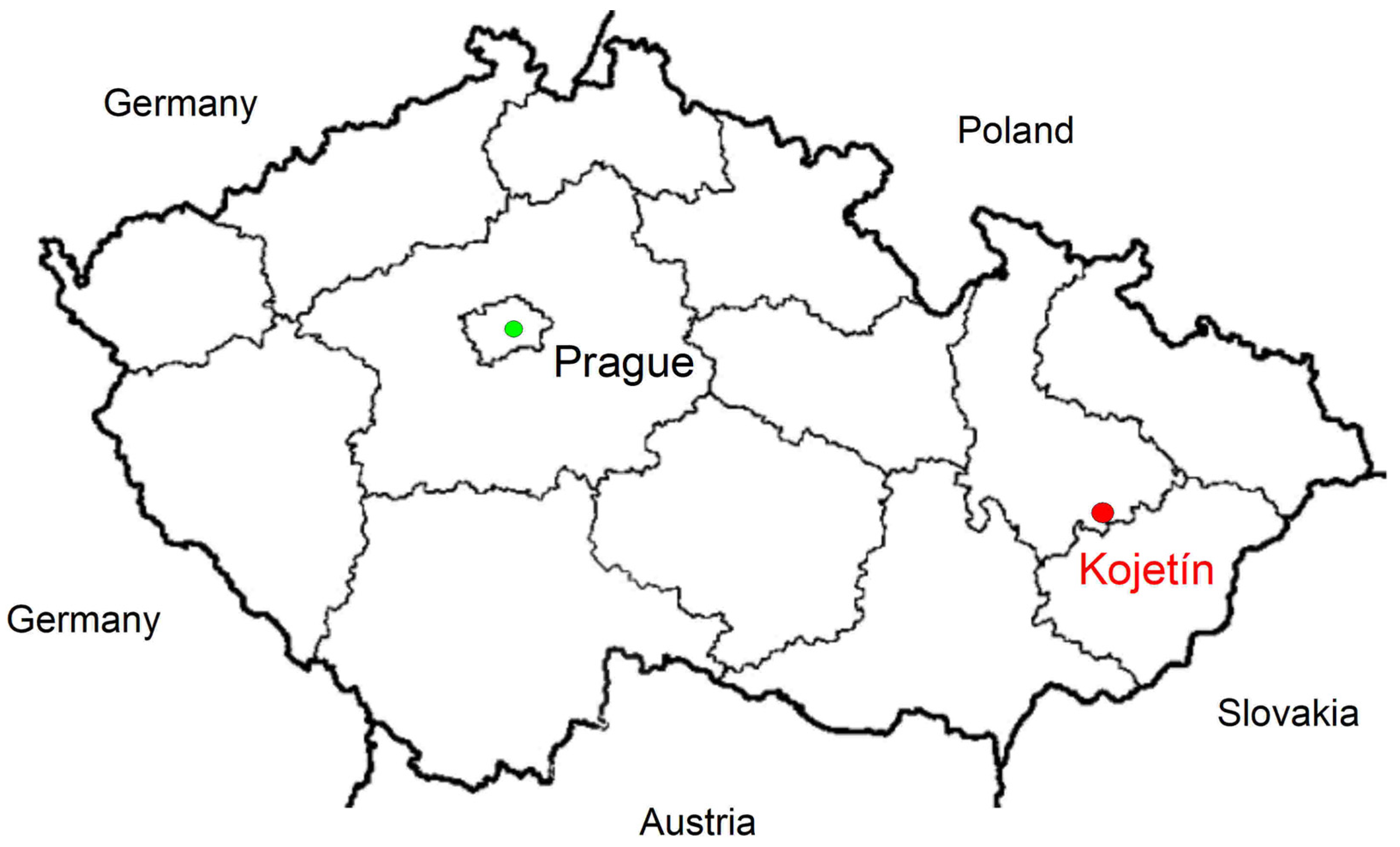 Applsci 13 09348 g001