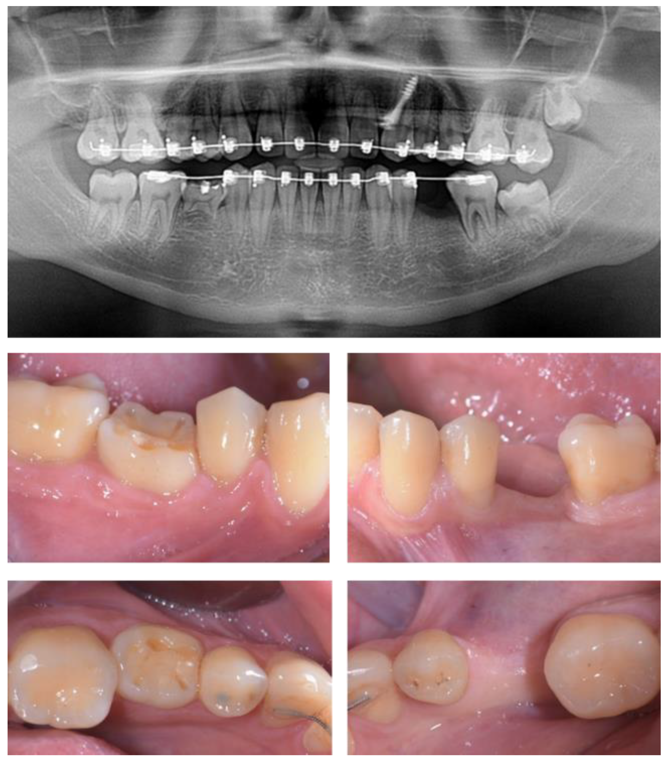 Applsci 13 09368 g001