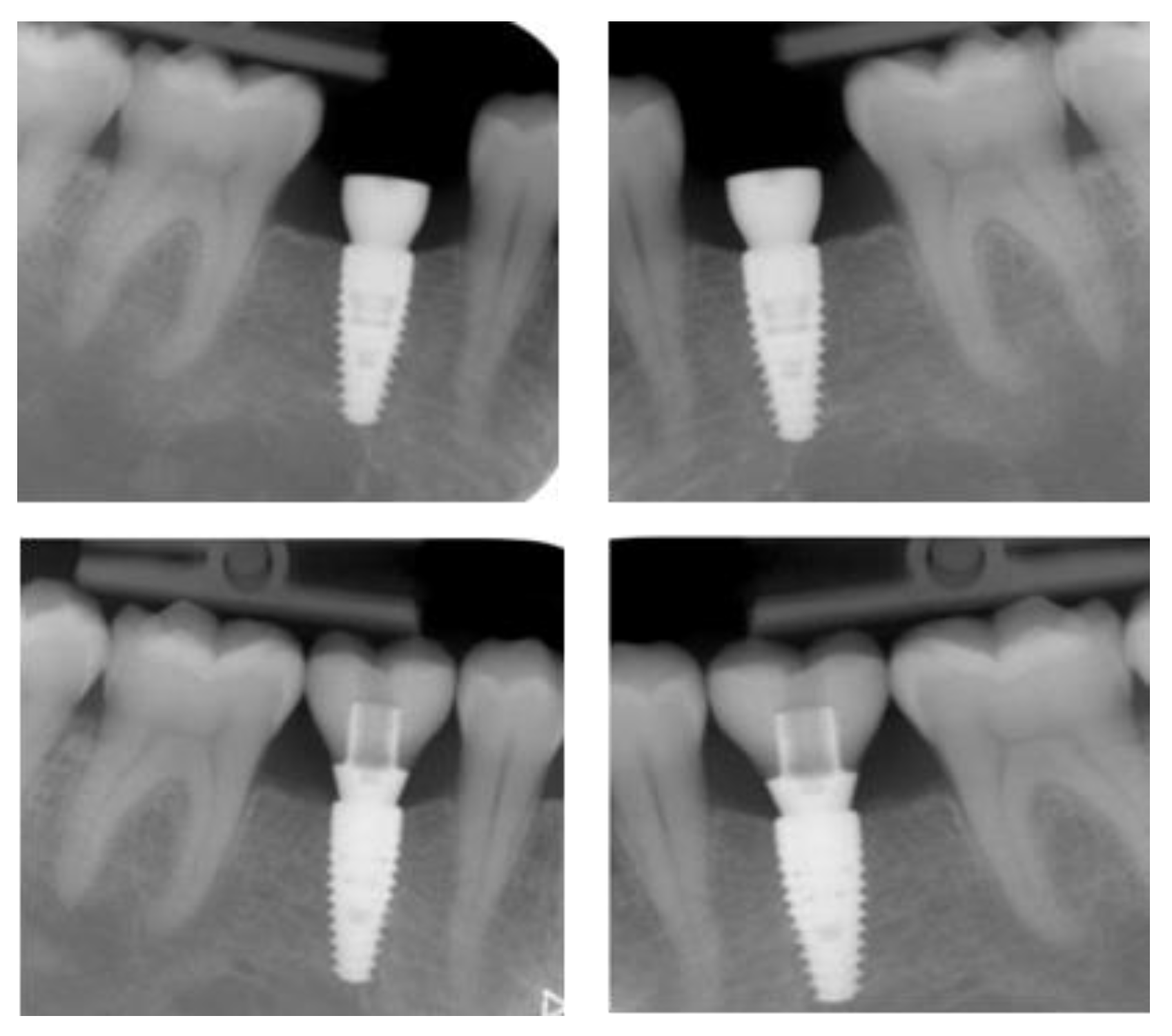 Applsci 13 09368 g010