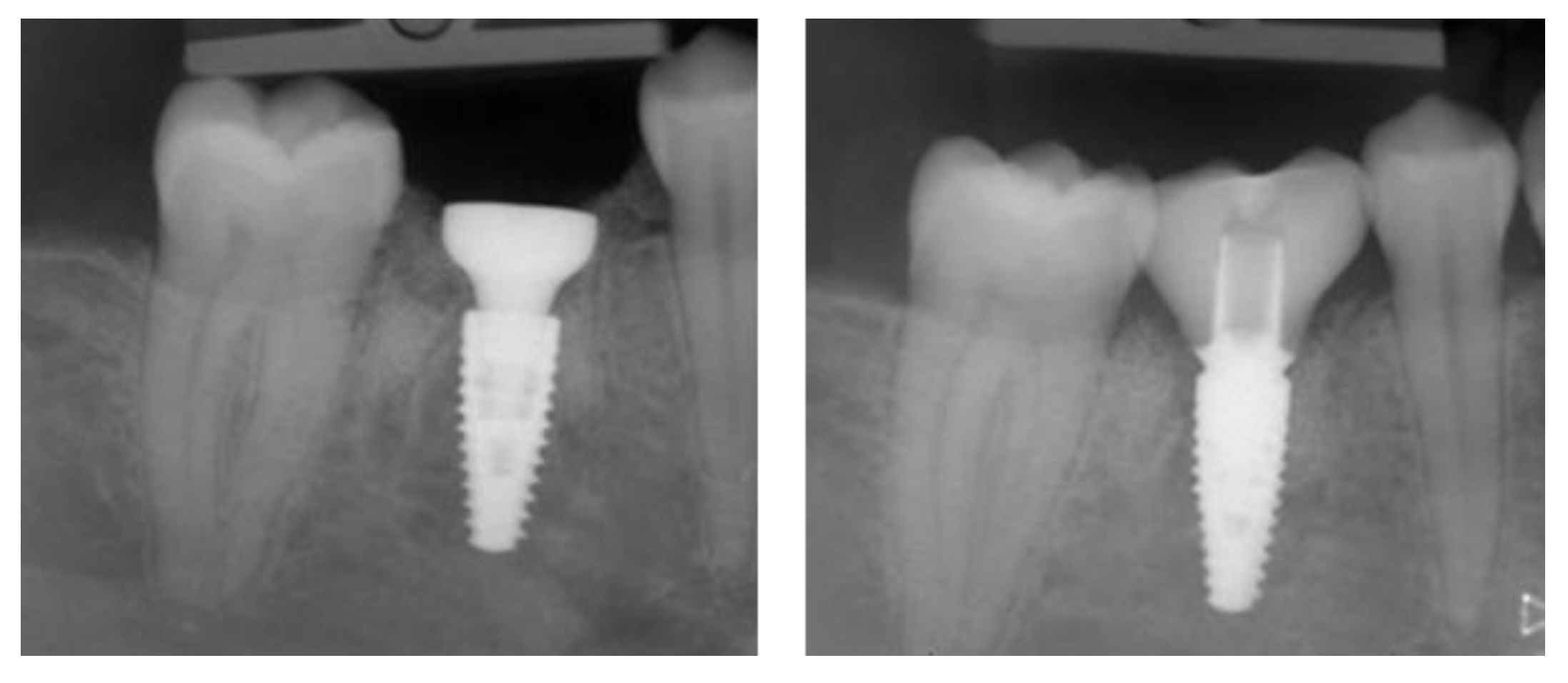 Applsci 13 09368 g017