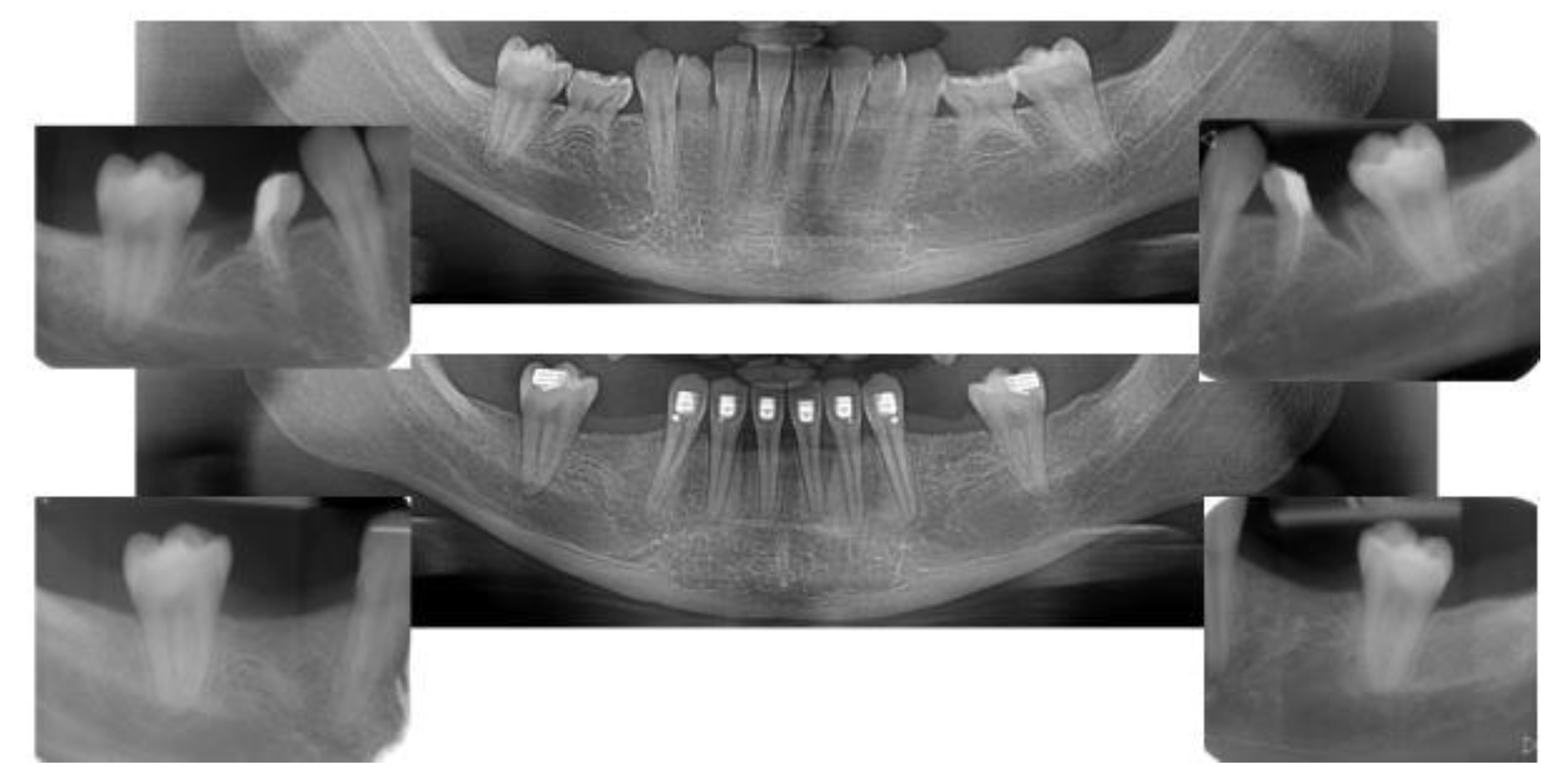 Applsci 13 09368 g019