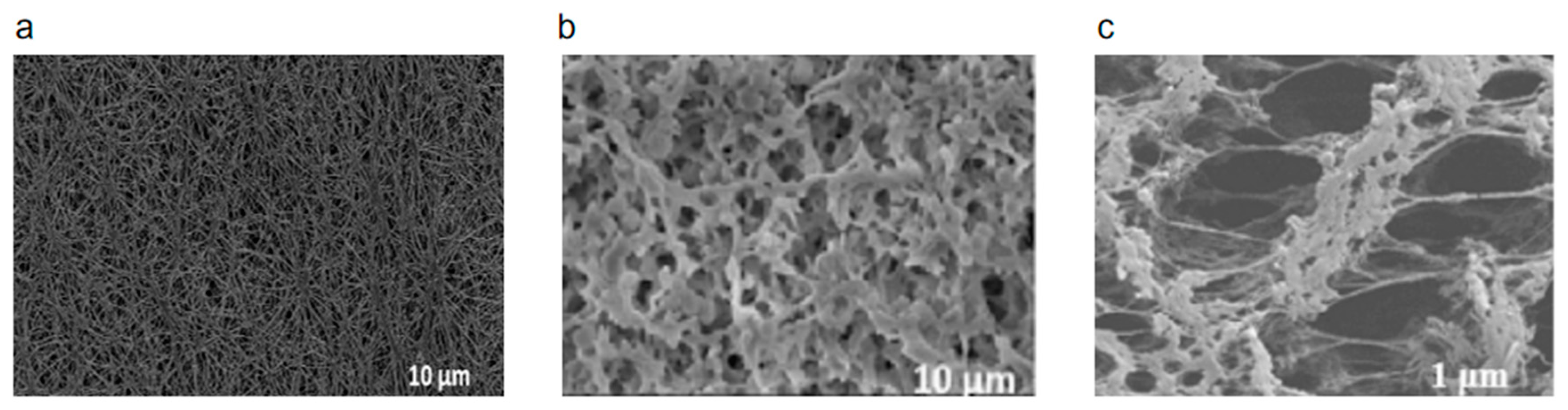 Applsci 13 09439 g004