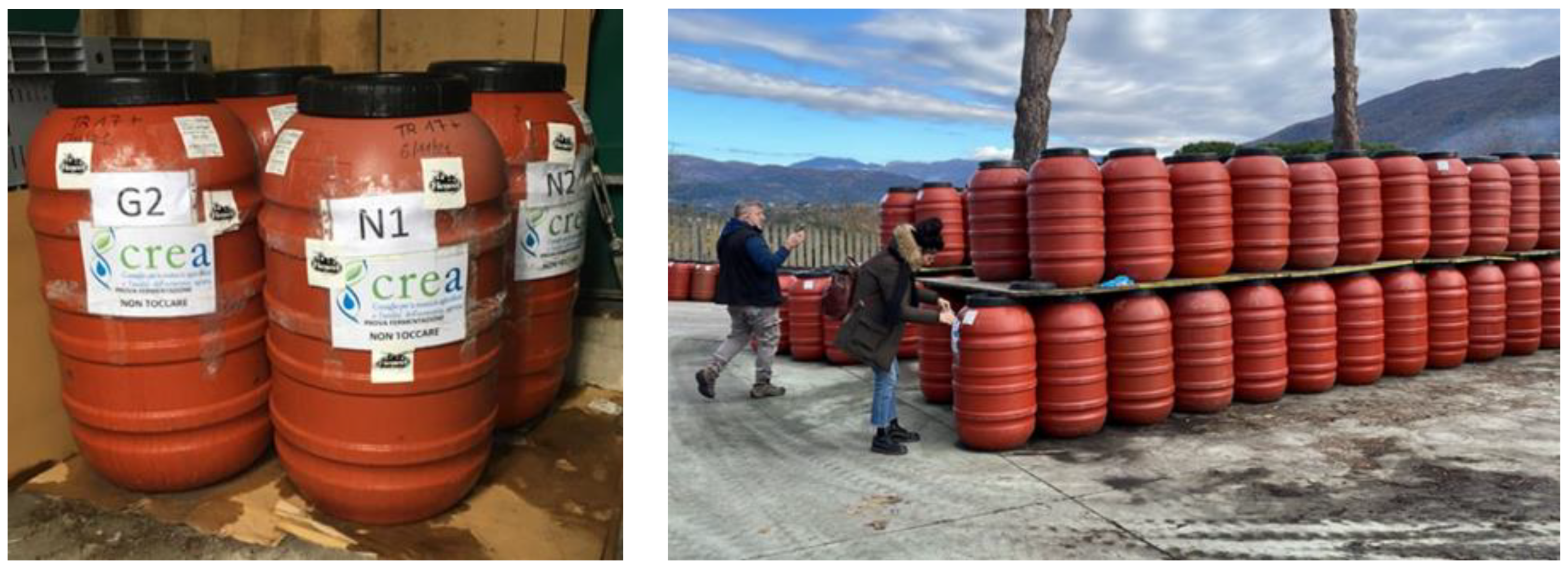 Applsci 13 09455 g001