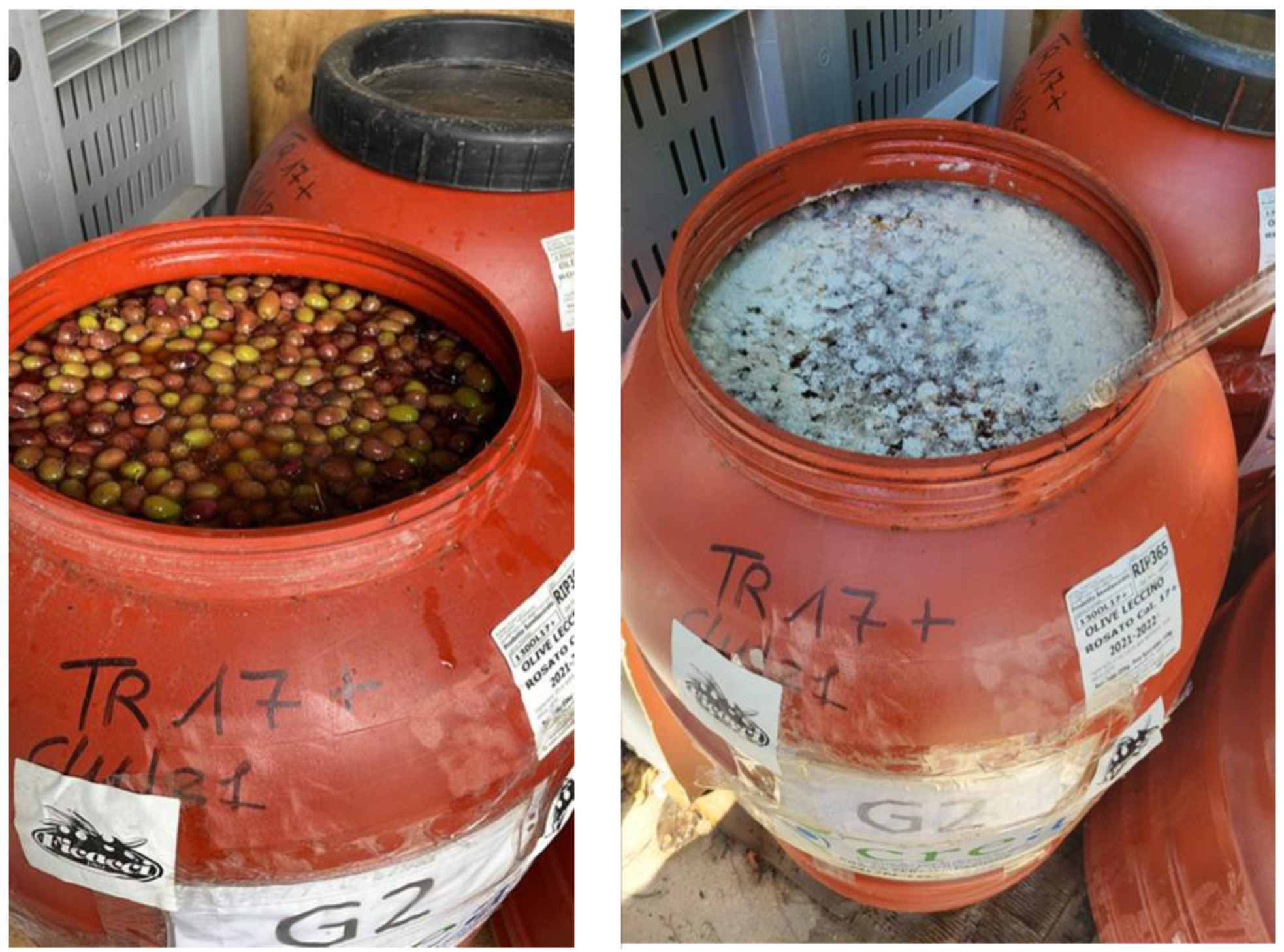 Applsci 13 09455 g011