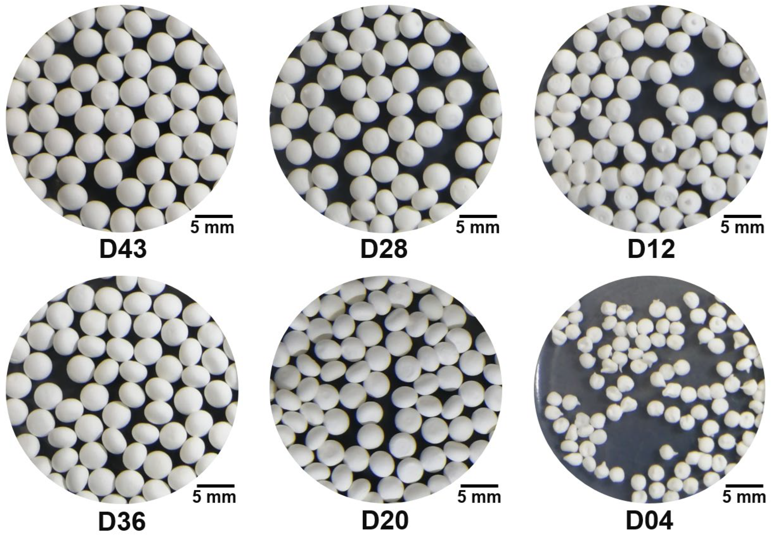 Applsci 13 09474 g005