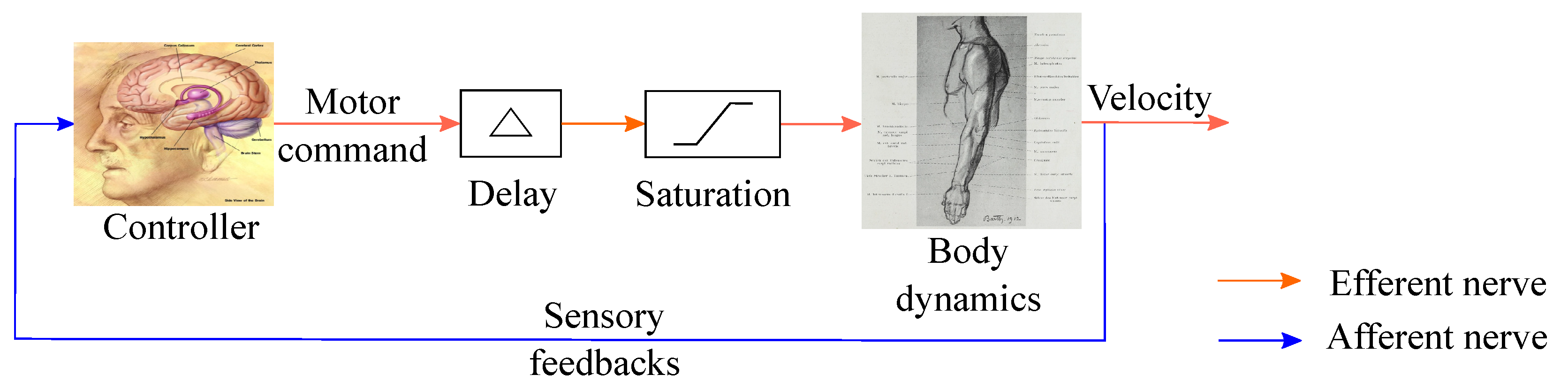 Applsci 13 09502 g001