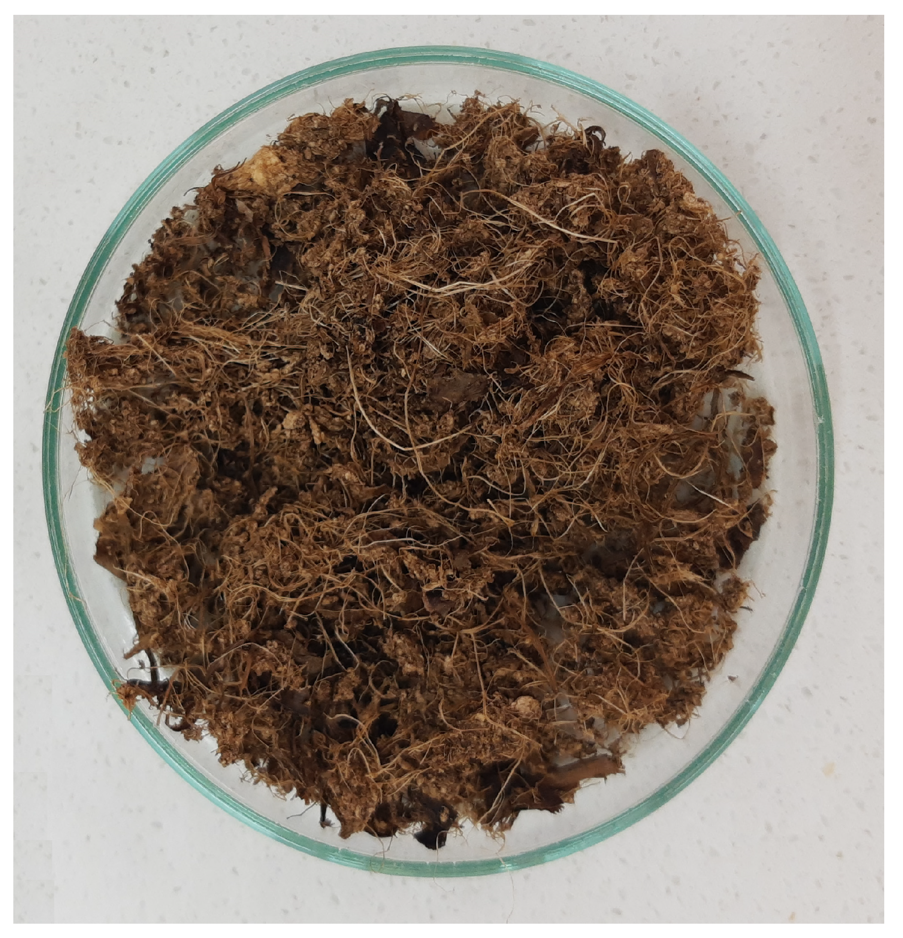 Applsci 13 09522 g001