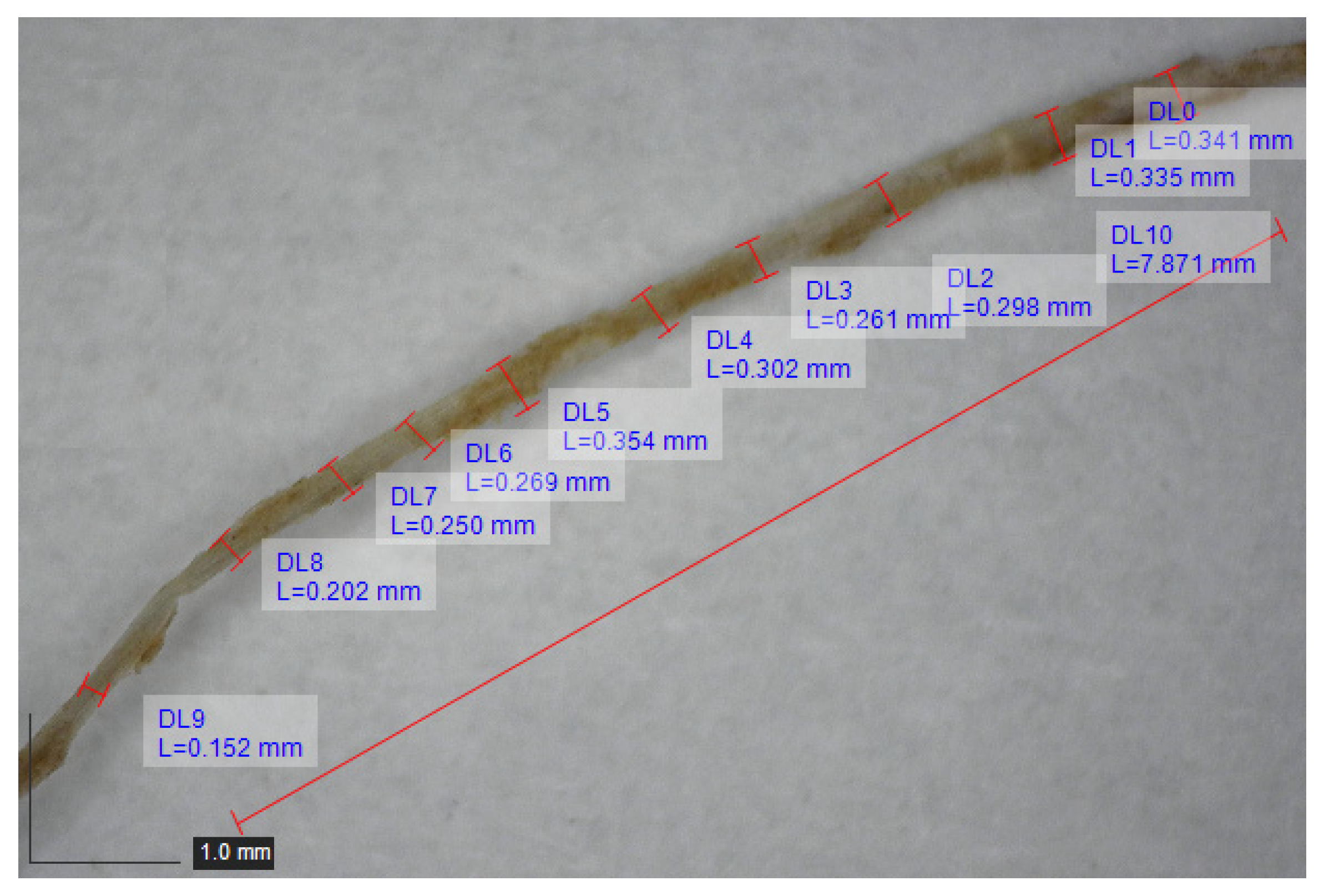 Applsci 13 09522 g002