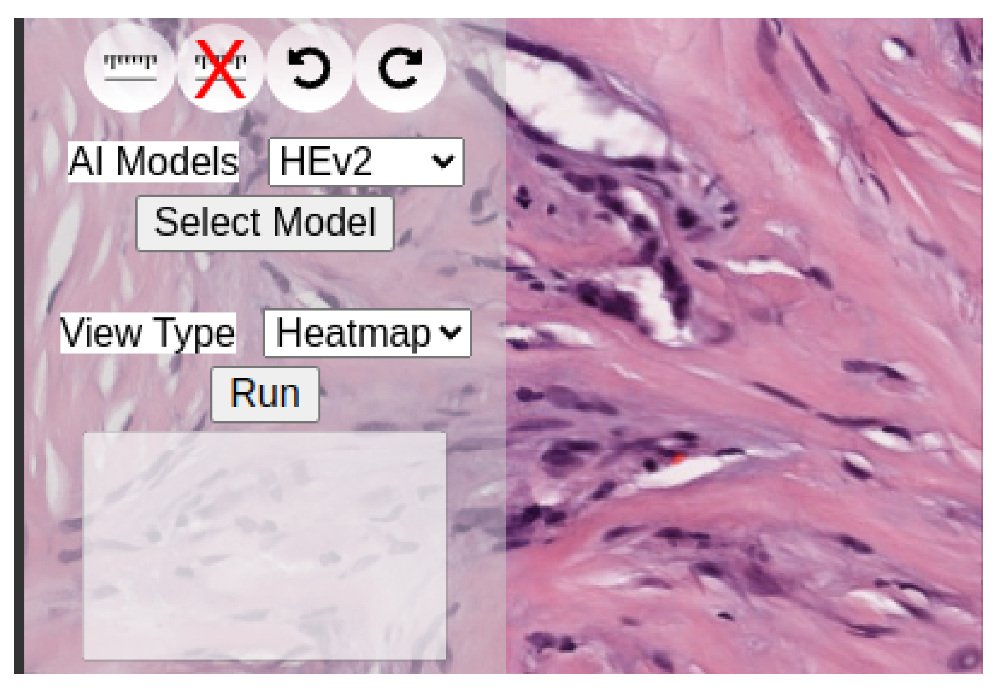 Applsci 13 09527 g004