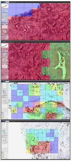 Applsci 13 09527 g007