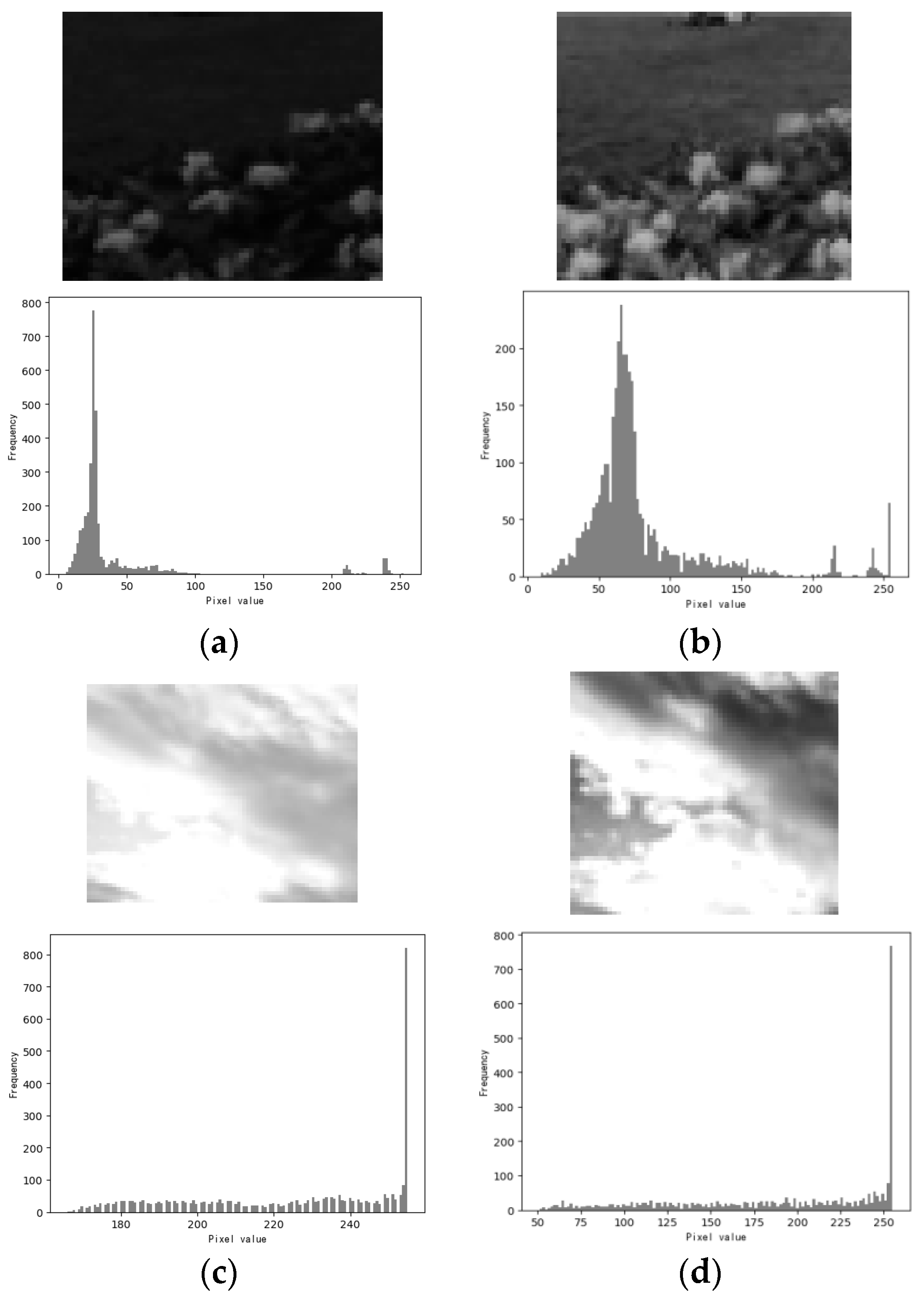 Applsci 13 09535 g008