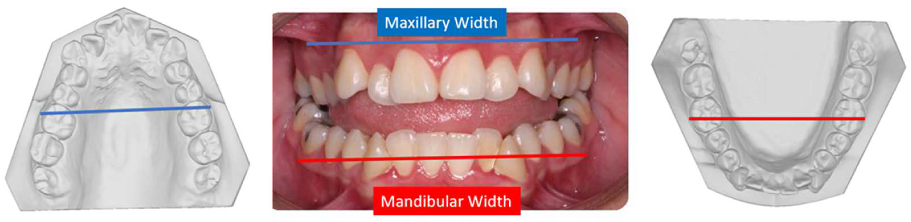 Applsci 13 09569 g001