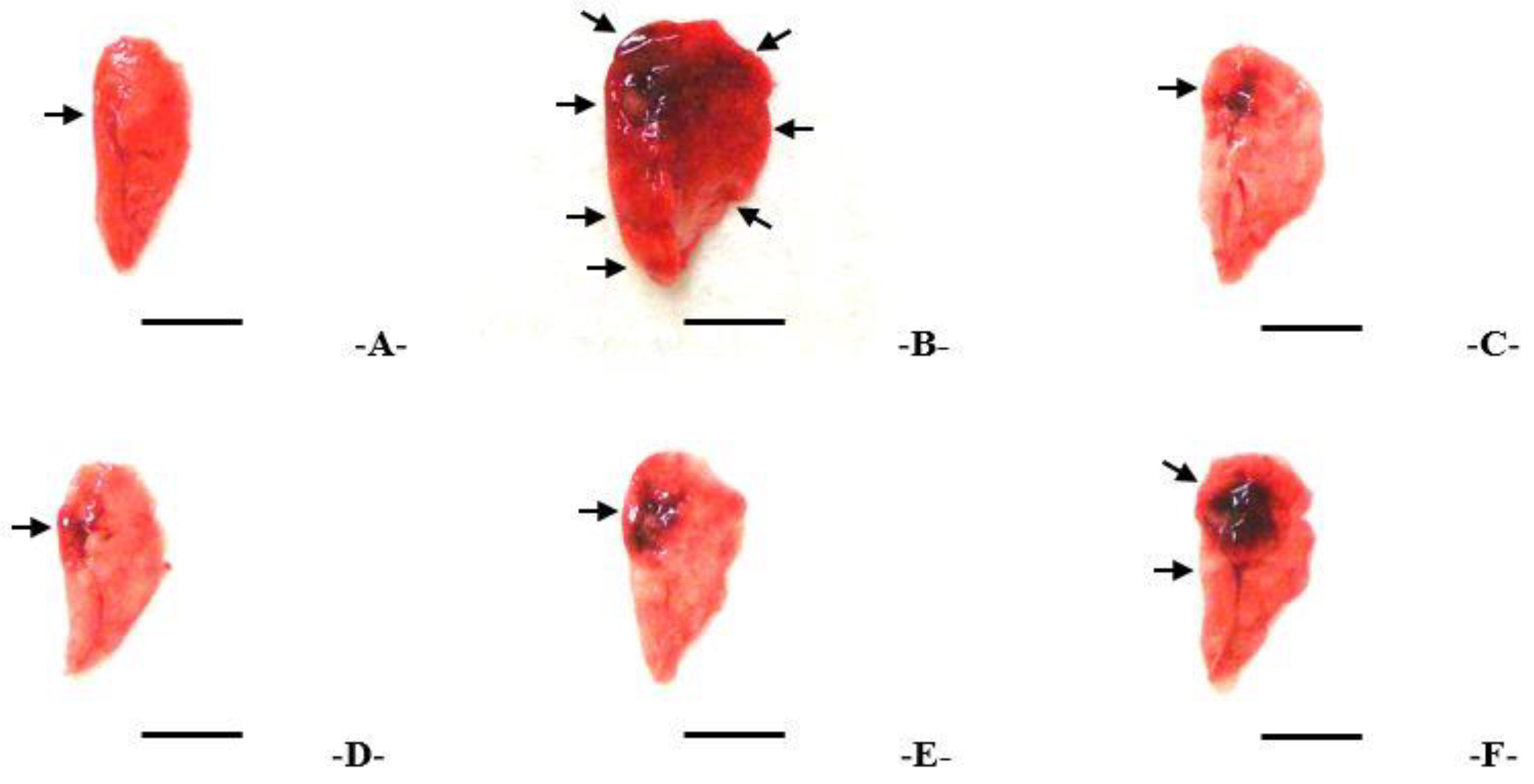 Applsci 13 09578 g003 Applsci 13 09578 g003