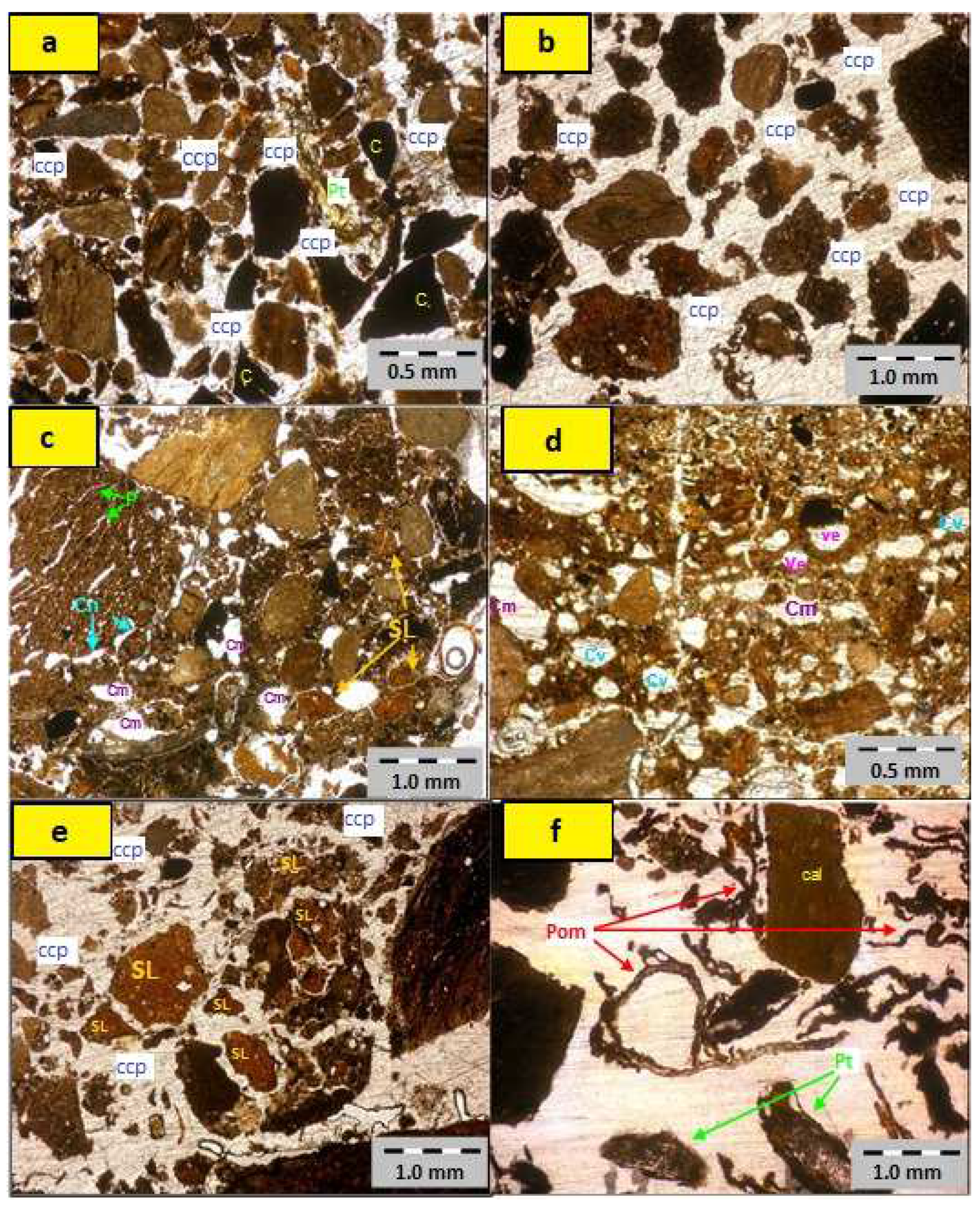 Applsci 13 09592 g001