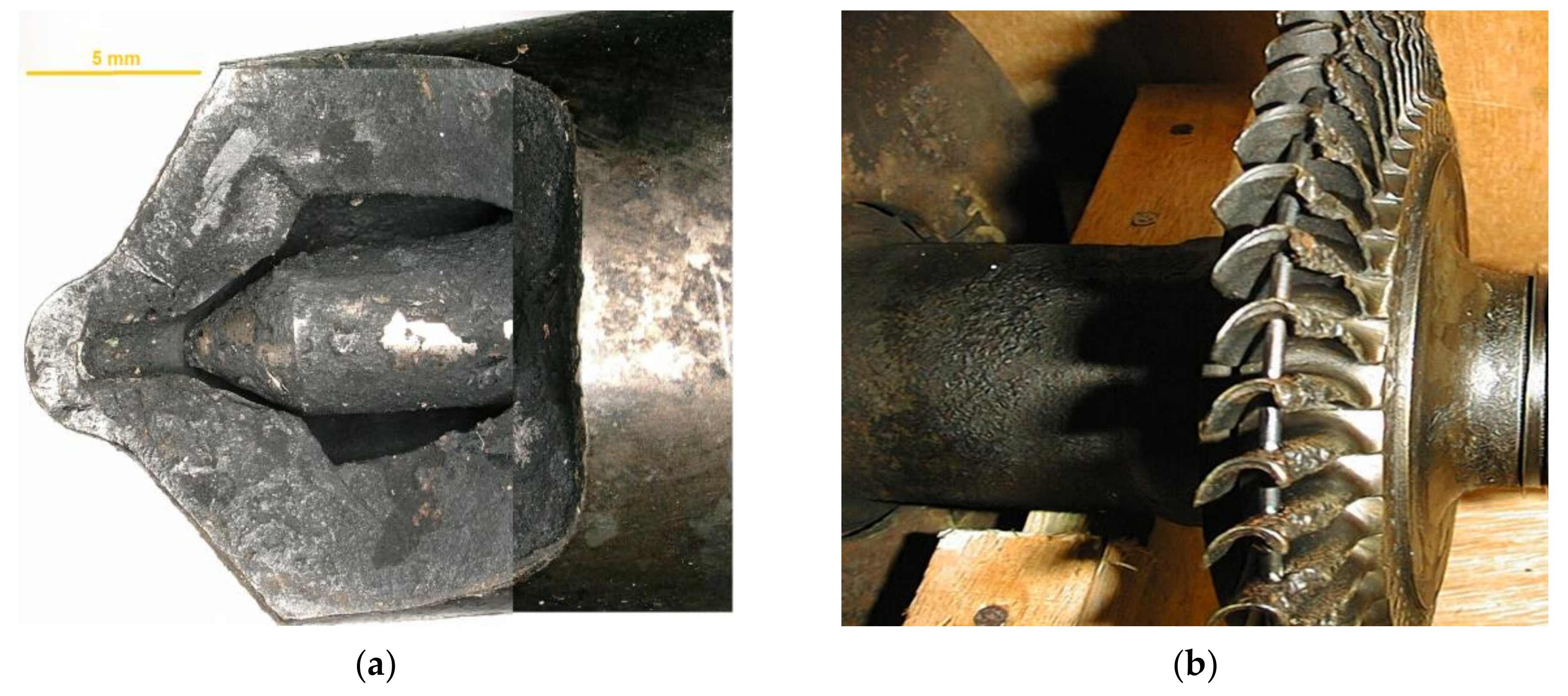 Applsci 13 09599 g001